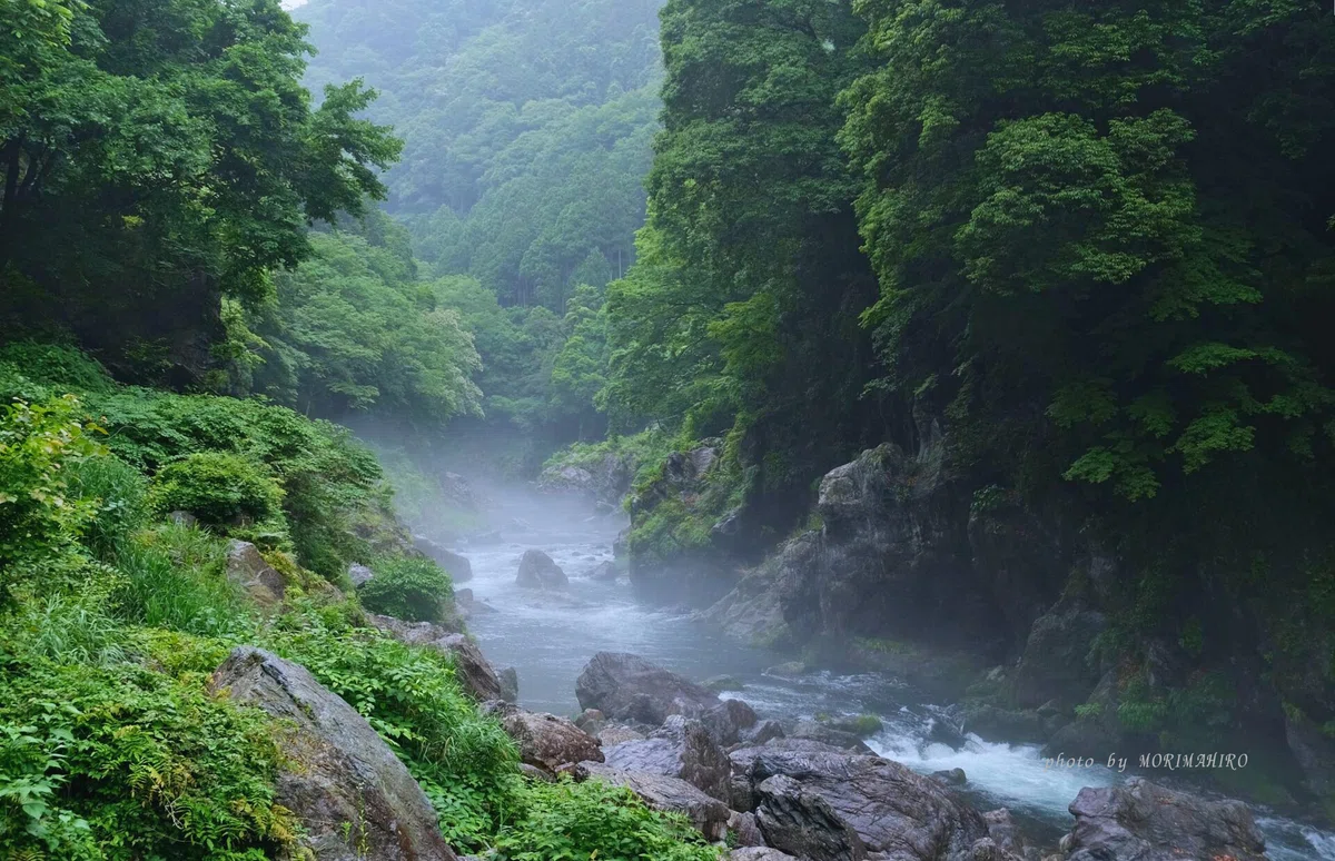 もやのかかる幻想的な渓谷