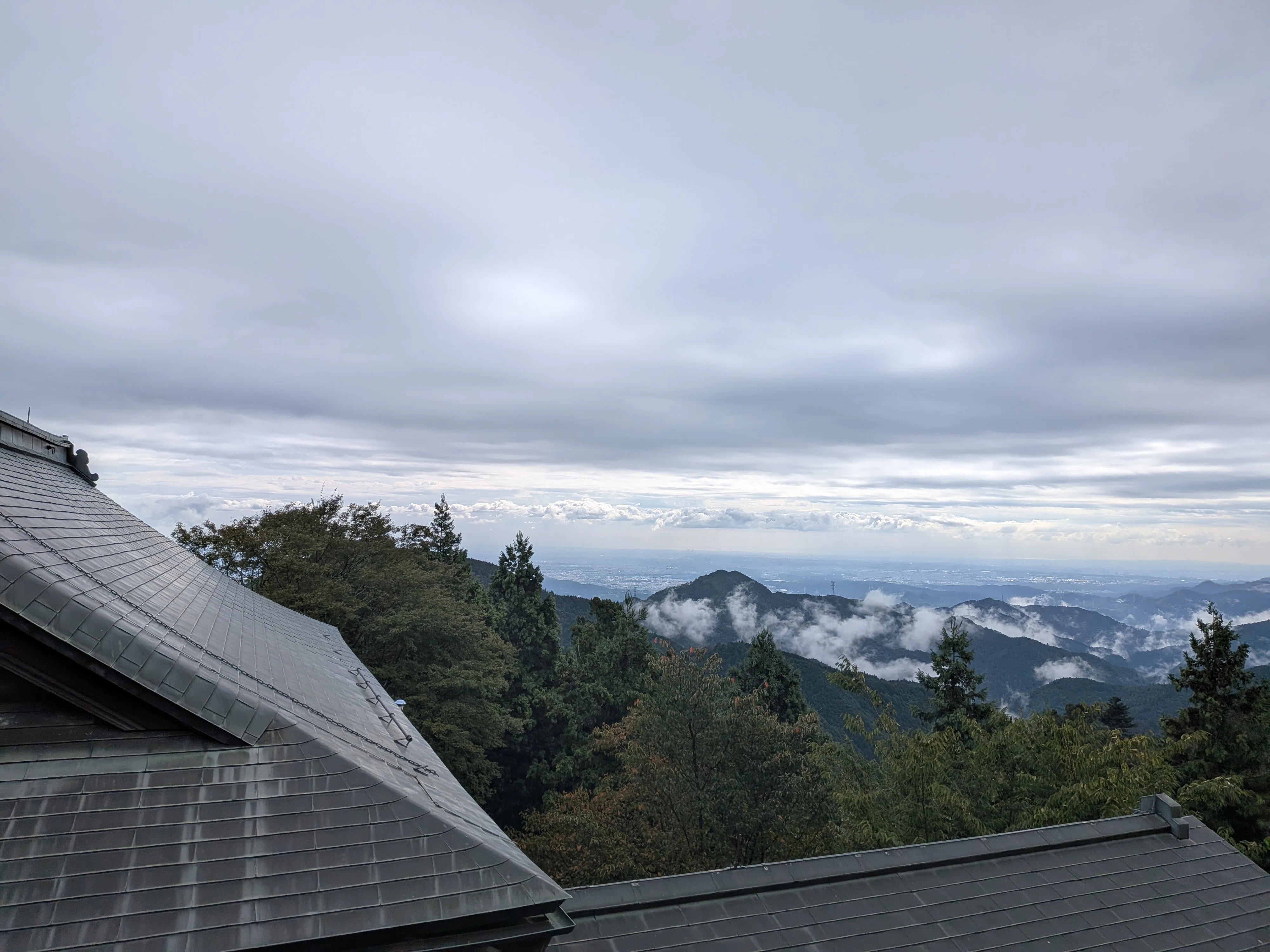 武蔵御嶽神社｜おいぬ様と大口真神の神域・御岳山参拝（前編）｜しま
