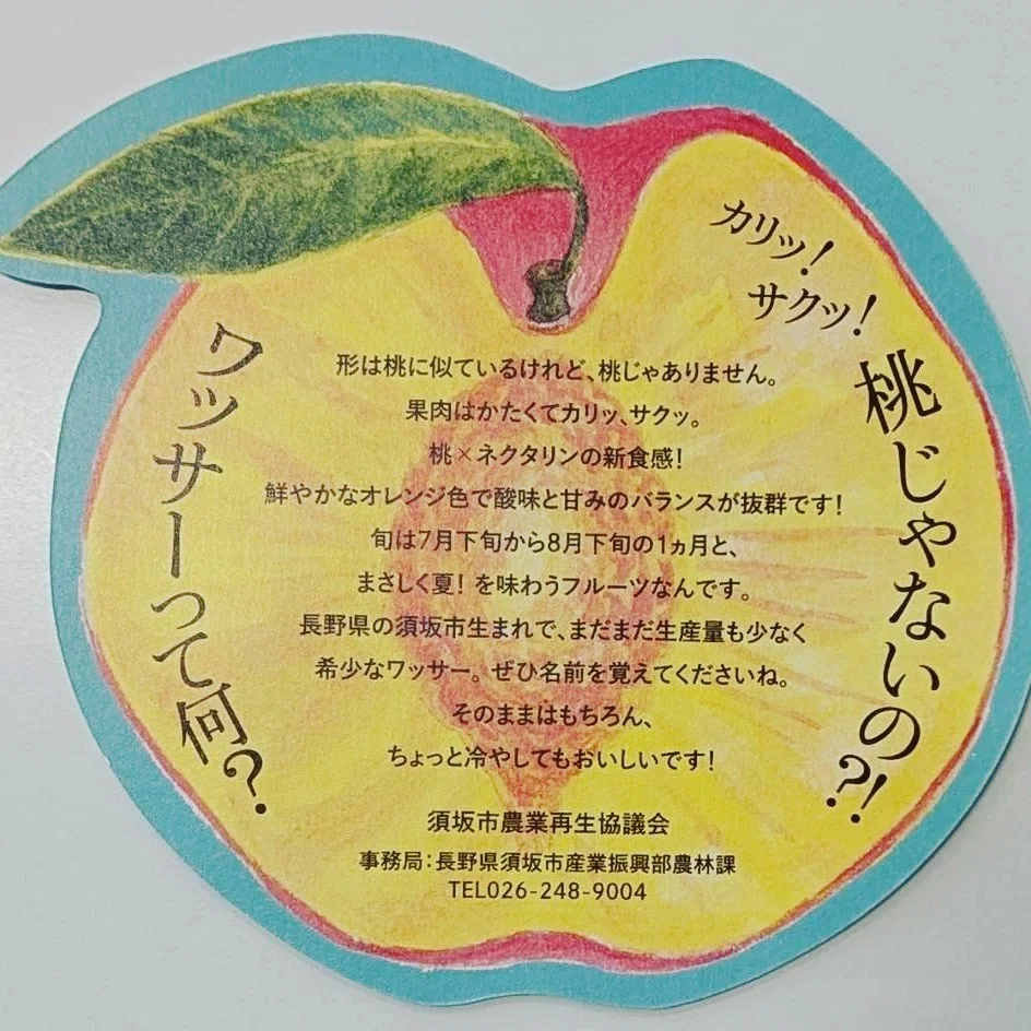 桃でもネクタリンでもない！？須坂が生んだ奇跡のフルーツ「ワッサー