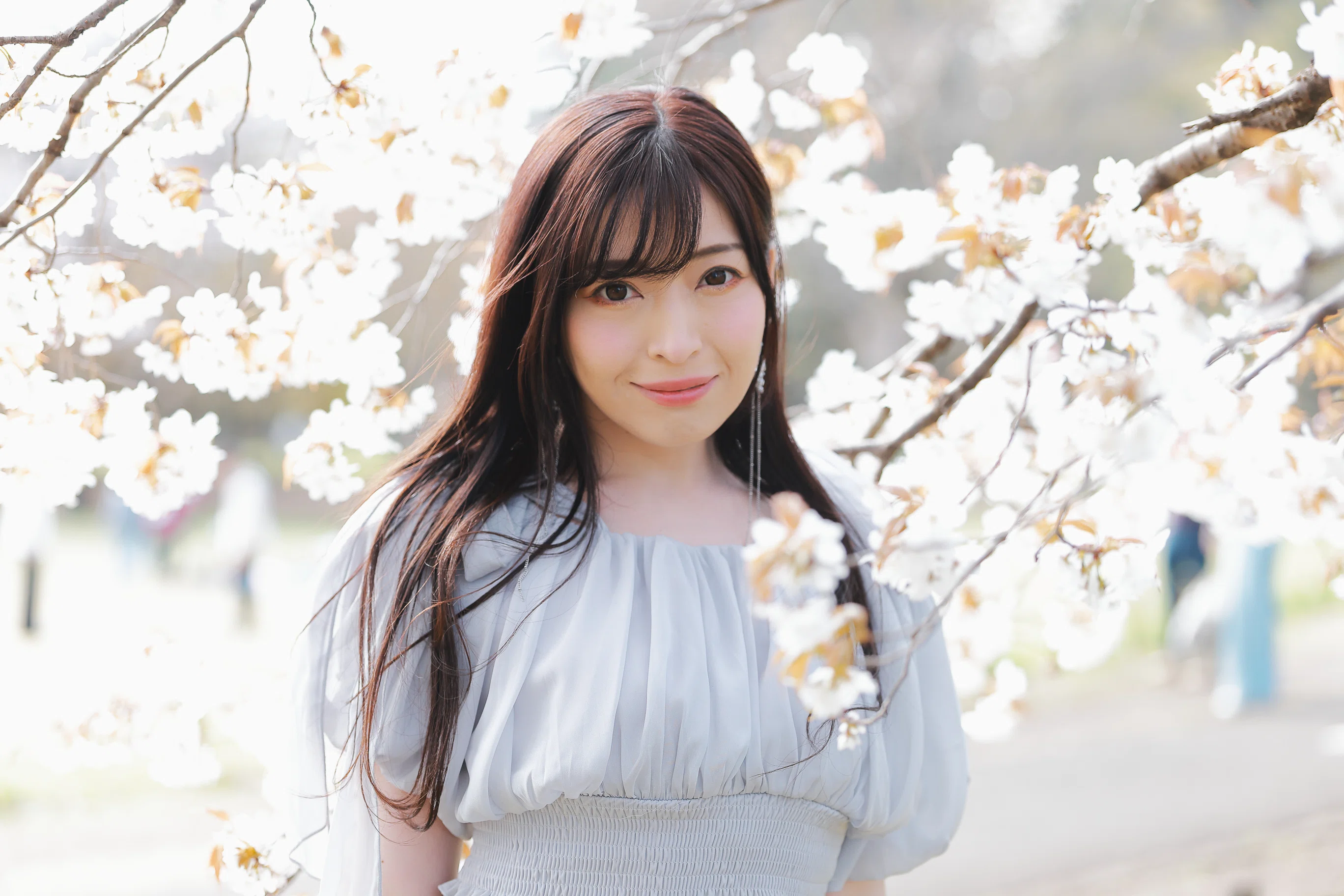 受付終了】桜の個人撮影について｜Arly