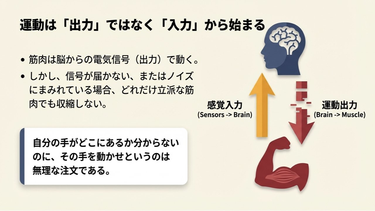 バイオメカニズム26 : 動きの巧みさの解析と身体機能の評価【新品未使用】 筋収縮が得られない本当の理由：脳科学、バイオメカニクス、情動的視点