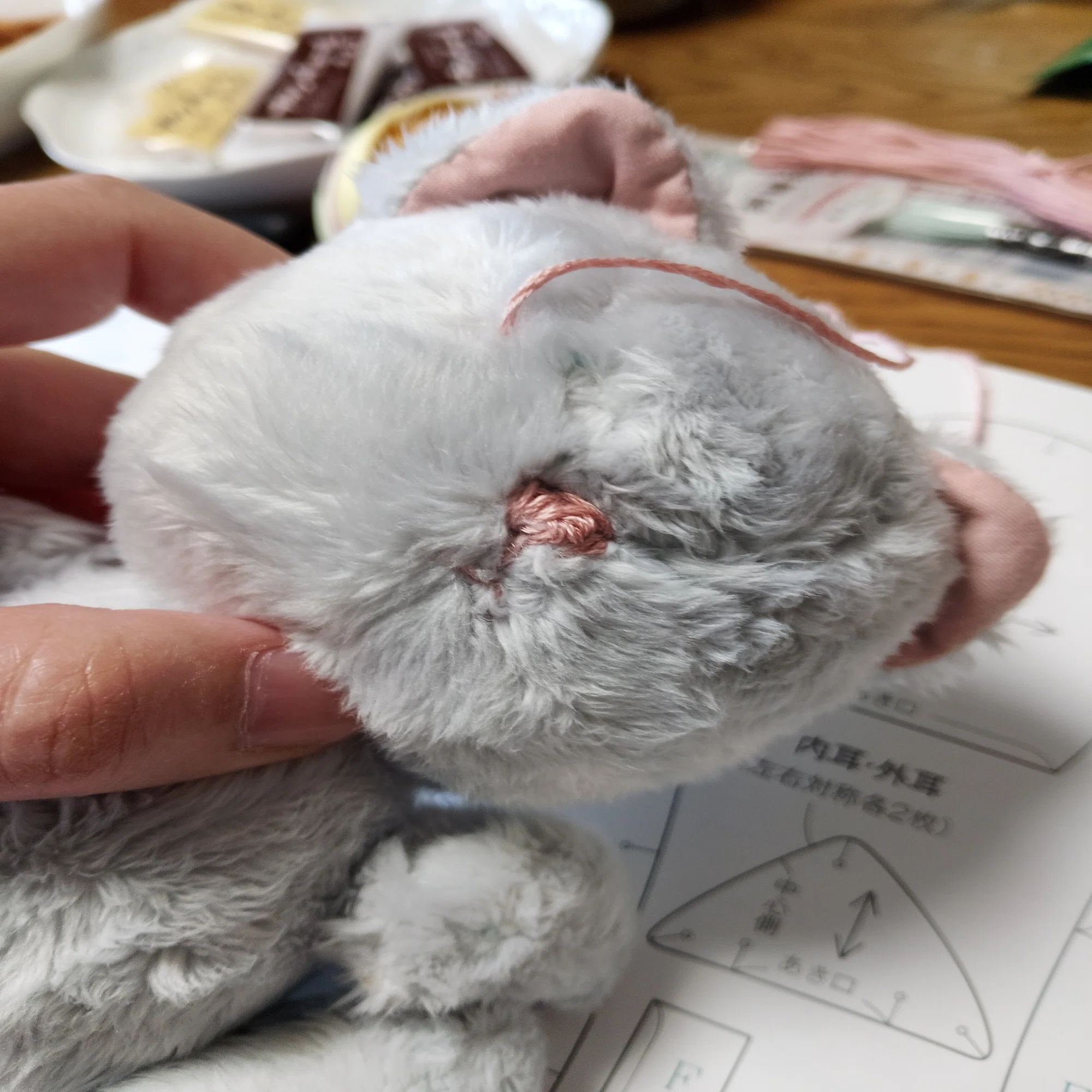 鬼熊からの卒業。ぶさかわ界のセンター、爆誕！｜勘違いアイドルしがみん