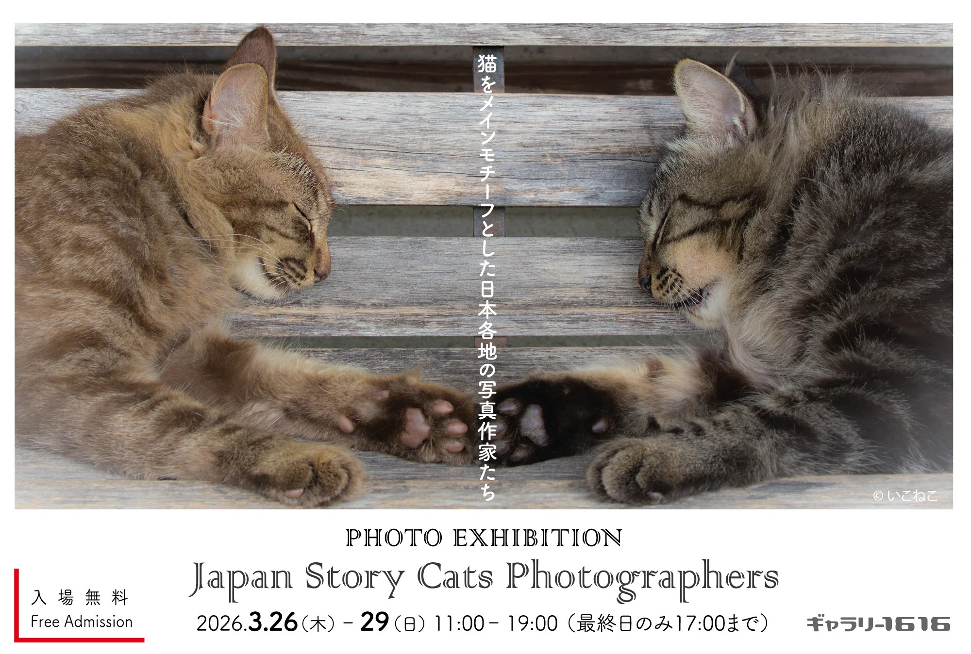猫写真グループ展「Japan Stroy Cats Photographers」展｜Yurihiro Yoshida
