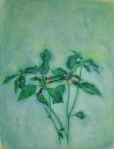 2019年野の草花を描く1｜川口修治