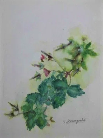 2019年野の草花を描く1｜川口修治