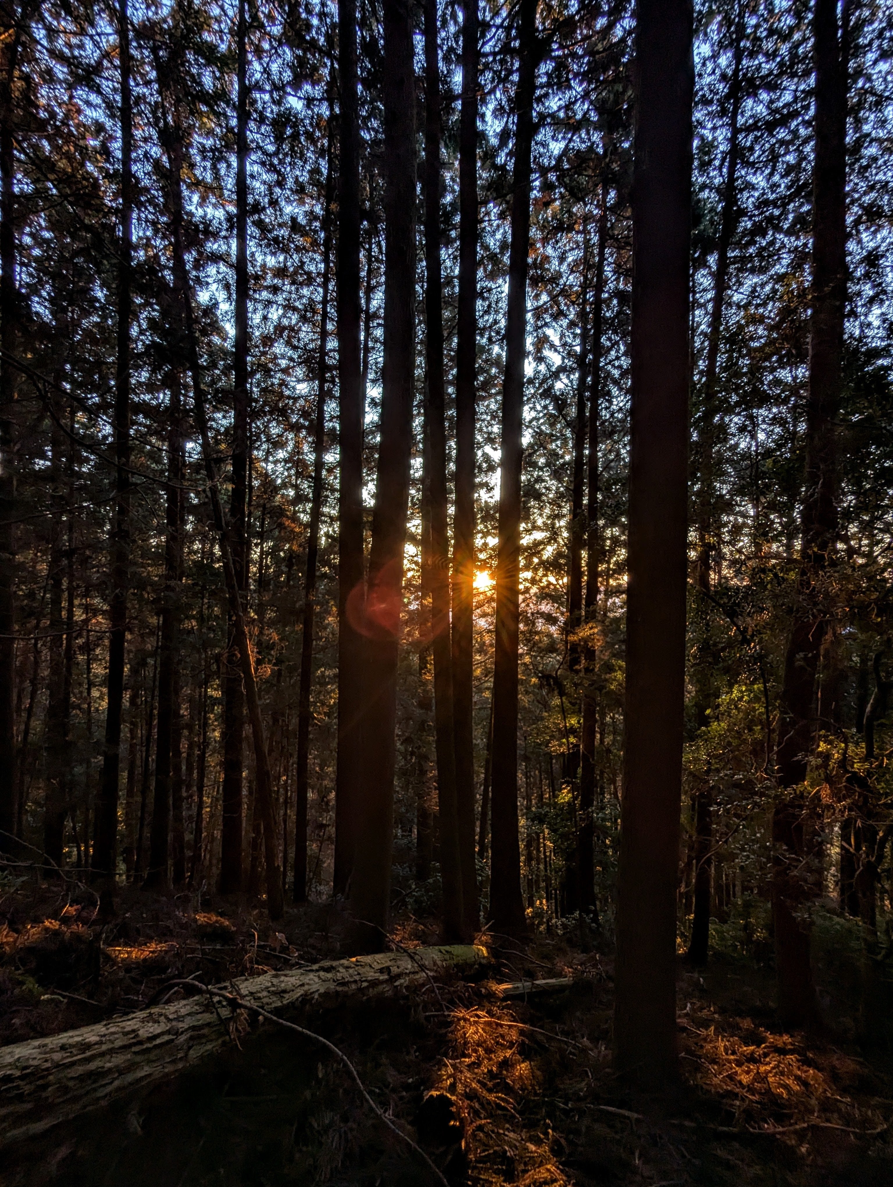 フィールドの価値｜HATCH