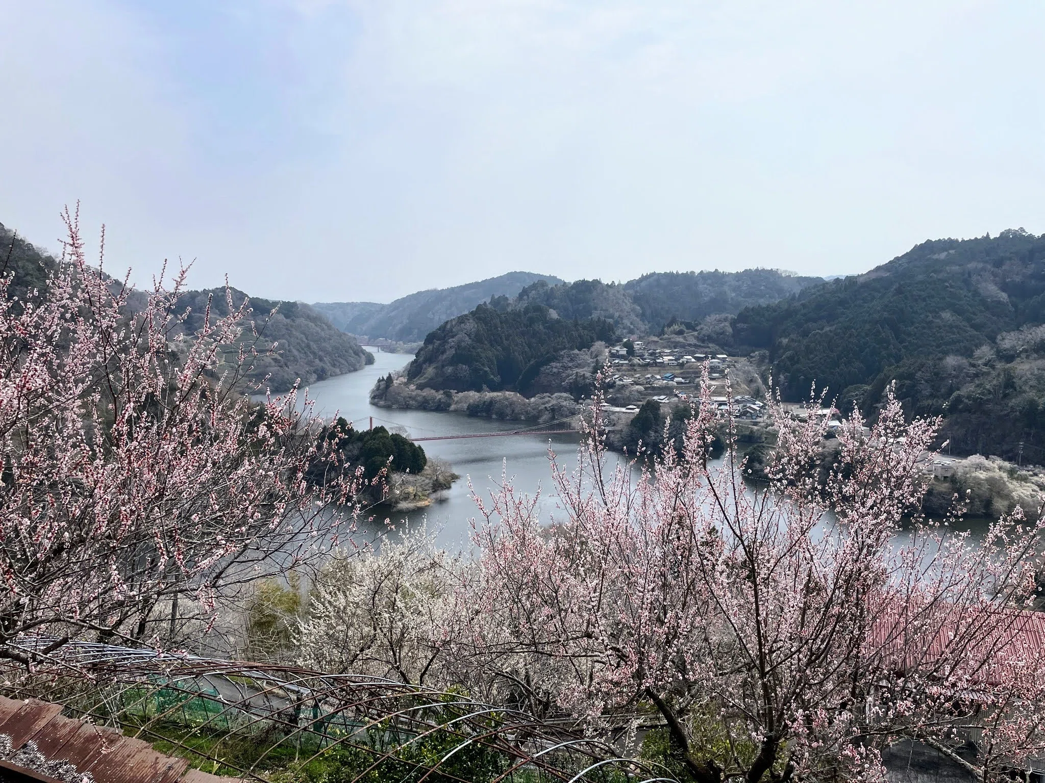 展覧会レポート】 富岡鉄斎が描いた風景画の軌跡 ／高月観音の里歴史