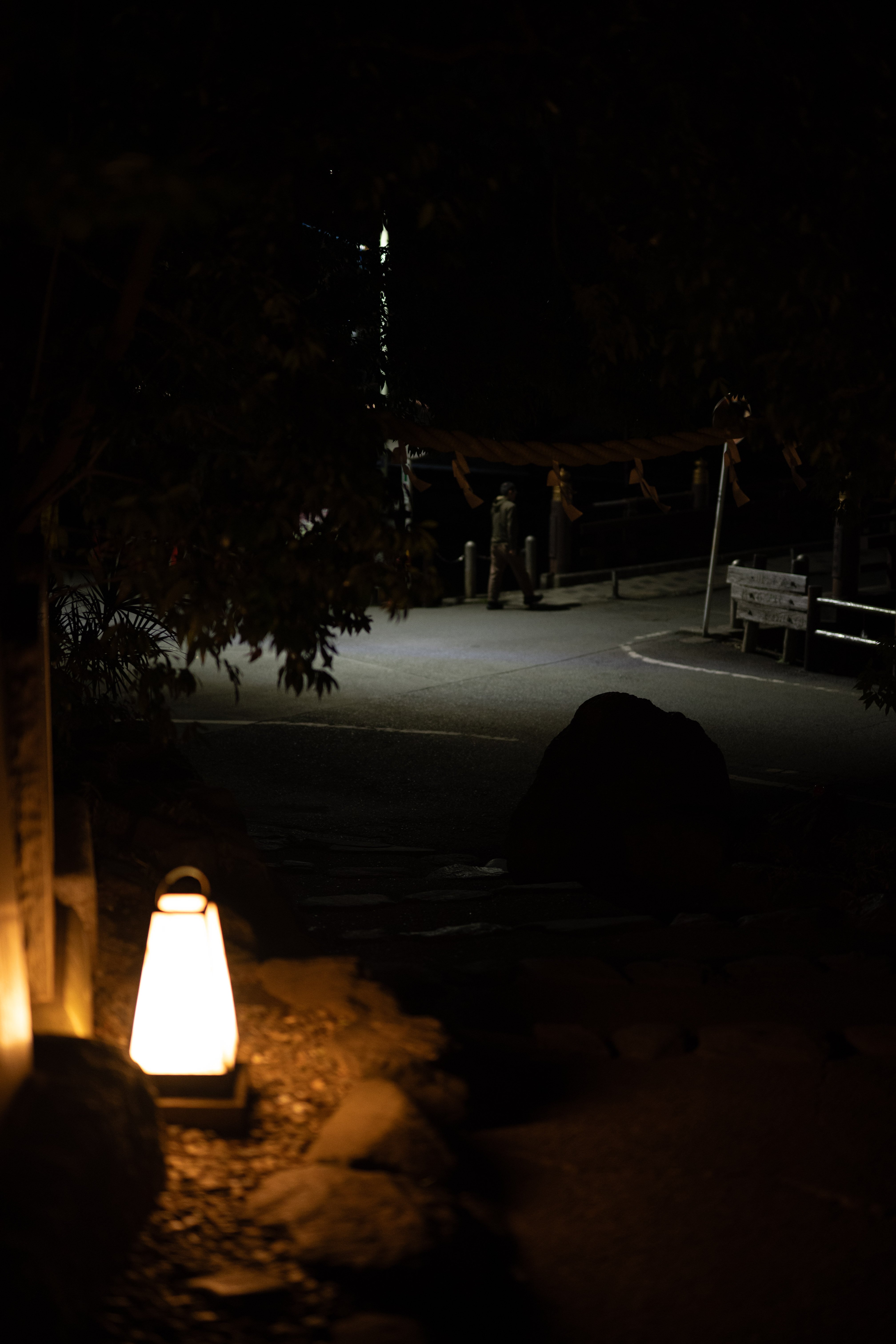 たくさん夜に歩くだけ #44｜morihito