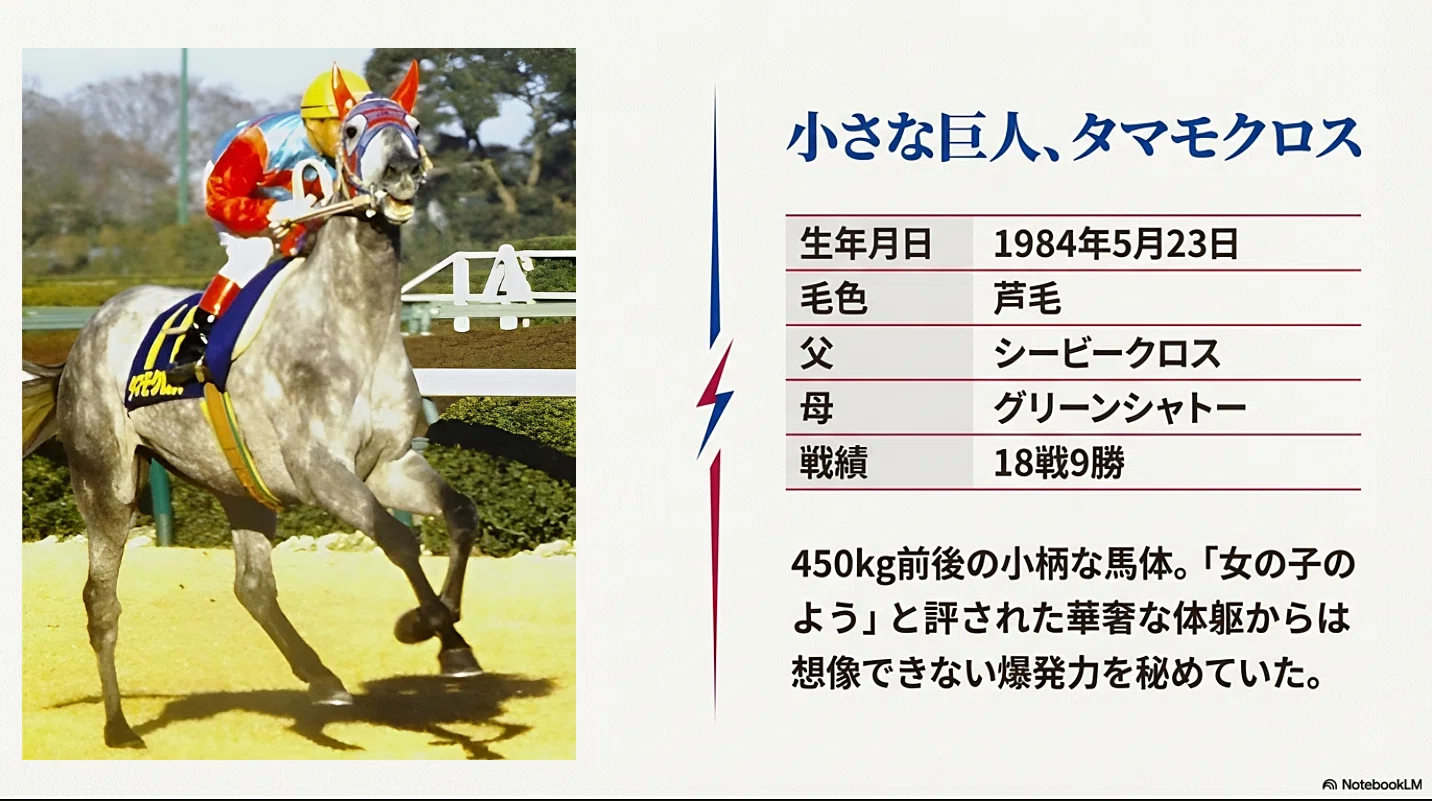 タマモクロス ―史上初となる天皇賞春秋制覇を果たした白い稲妻