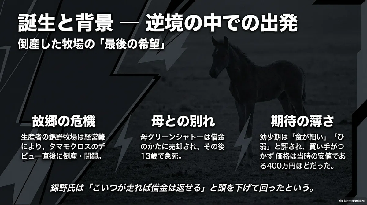 タマモクロス ―史上初となる天皇賞春秋制覇を果たした白い稲妻