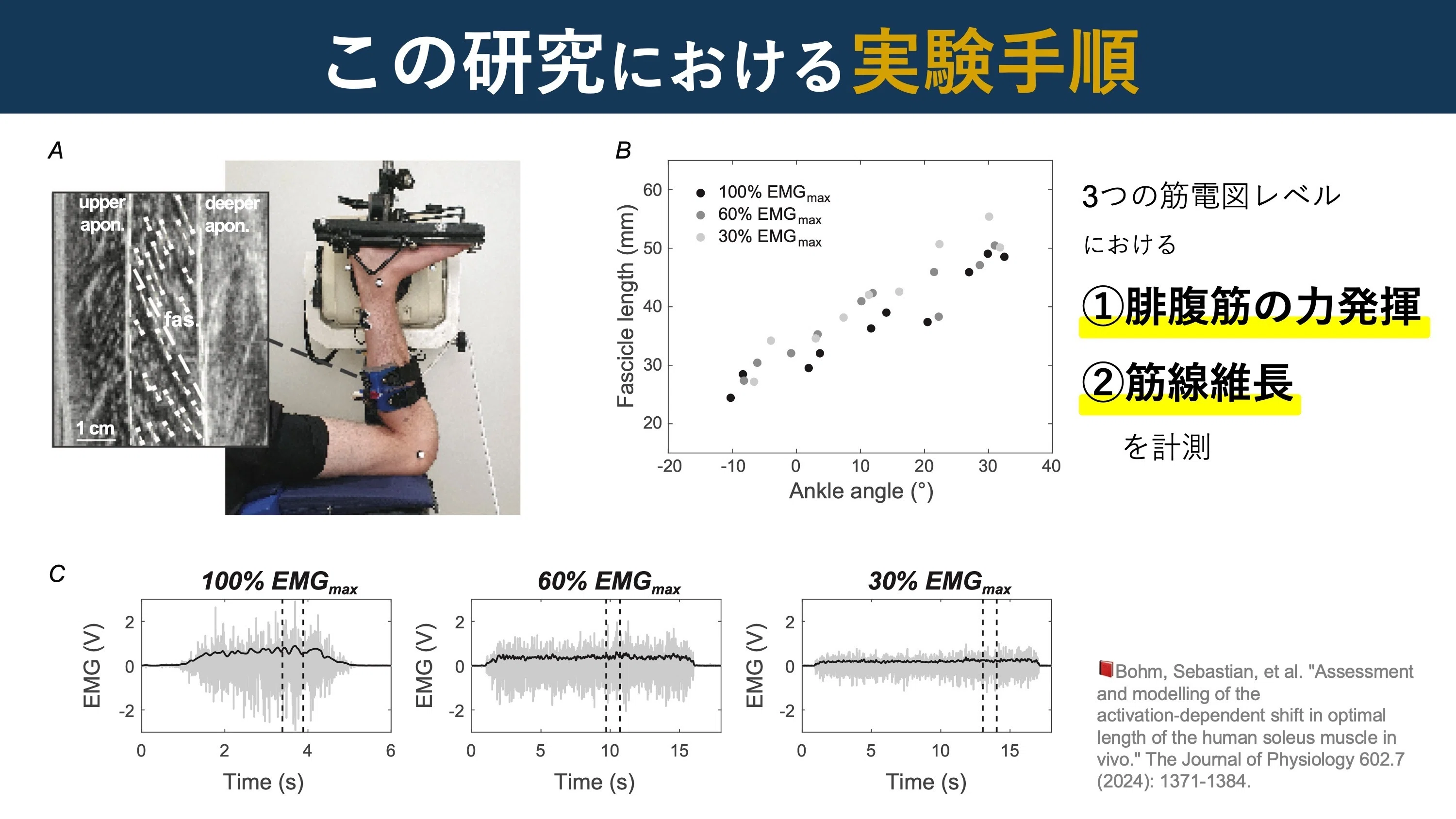 ヒトの絶対筋力―超音波診断による体肢組成・筋力の分析― 筋の超音波エコー輝度と身体機能の関連｜Super Human | 理学療法士