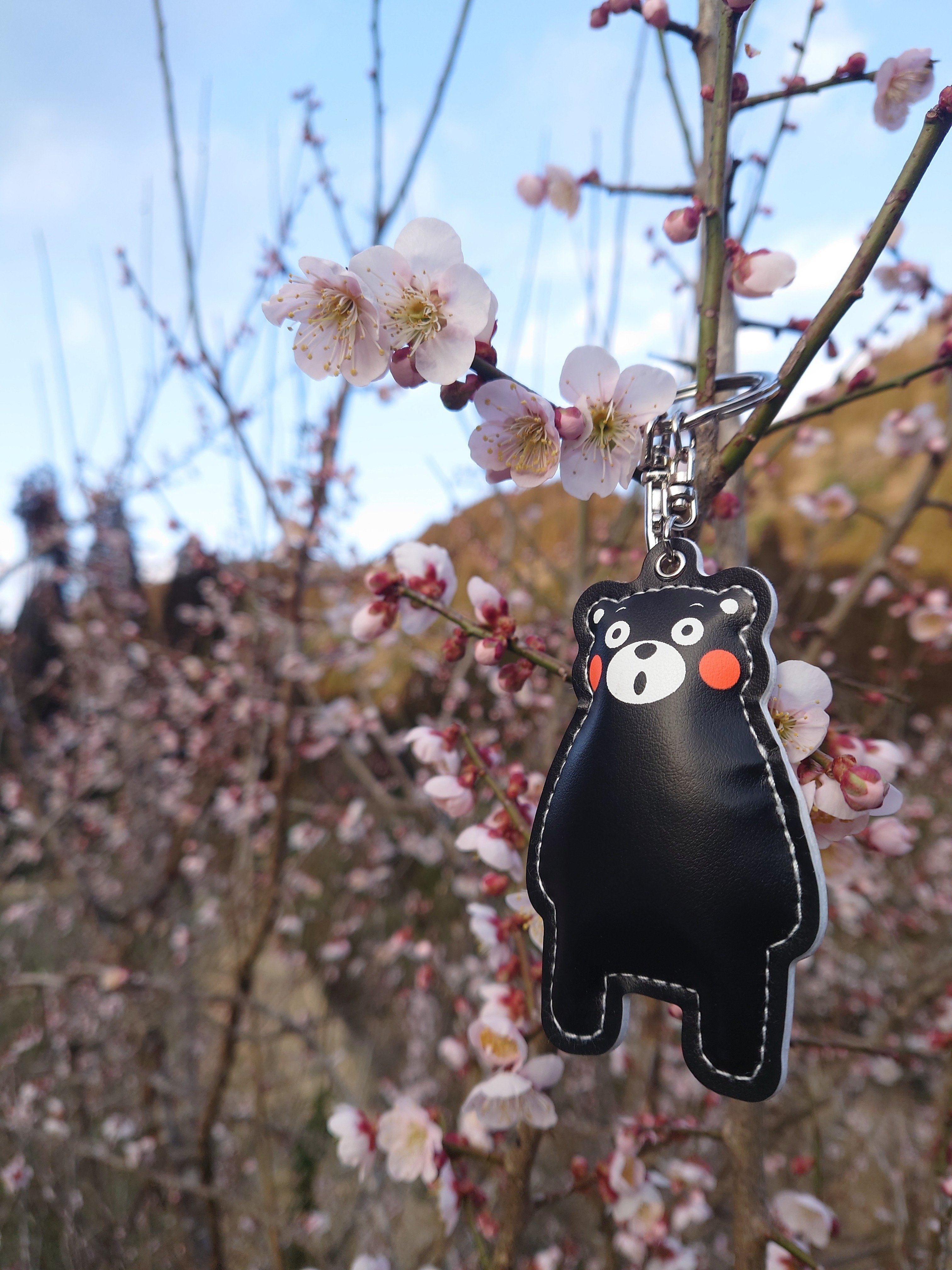 ①③Part5 (*￣(ｴ)￣*)くまモンと巡るモン｜toki 星野リゾート