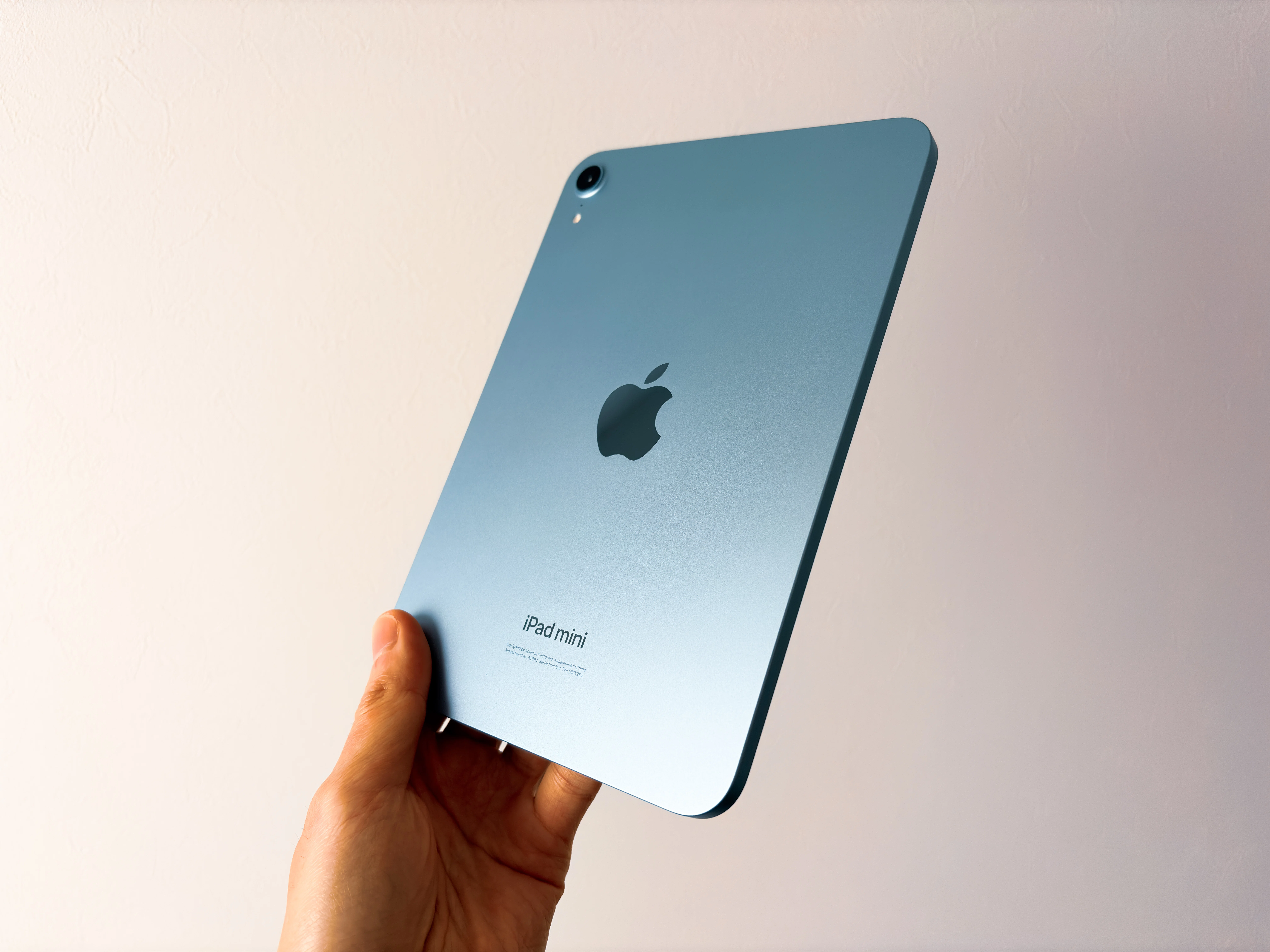 iPad miniに保護ケースは不要でした。理由と代わりに必要だったもの