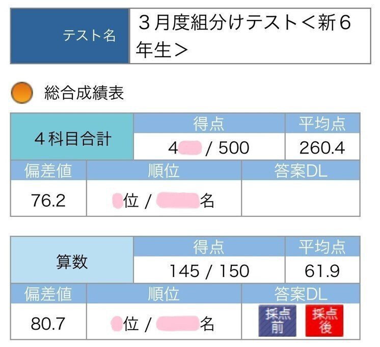 SAPIXオンリーのわが家がNNを取るか迷った理由と判断基準【サピックス
