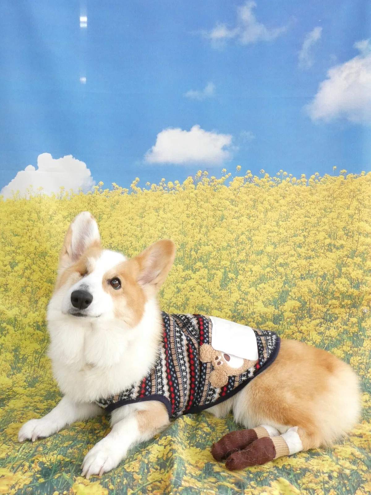画像