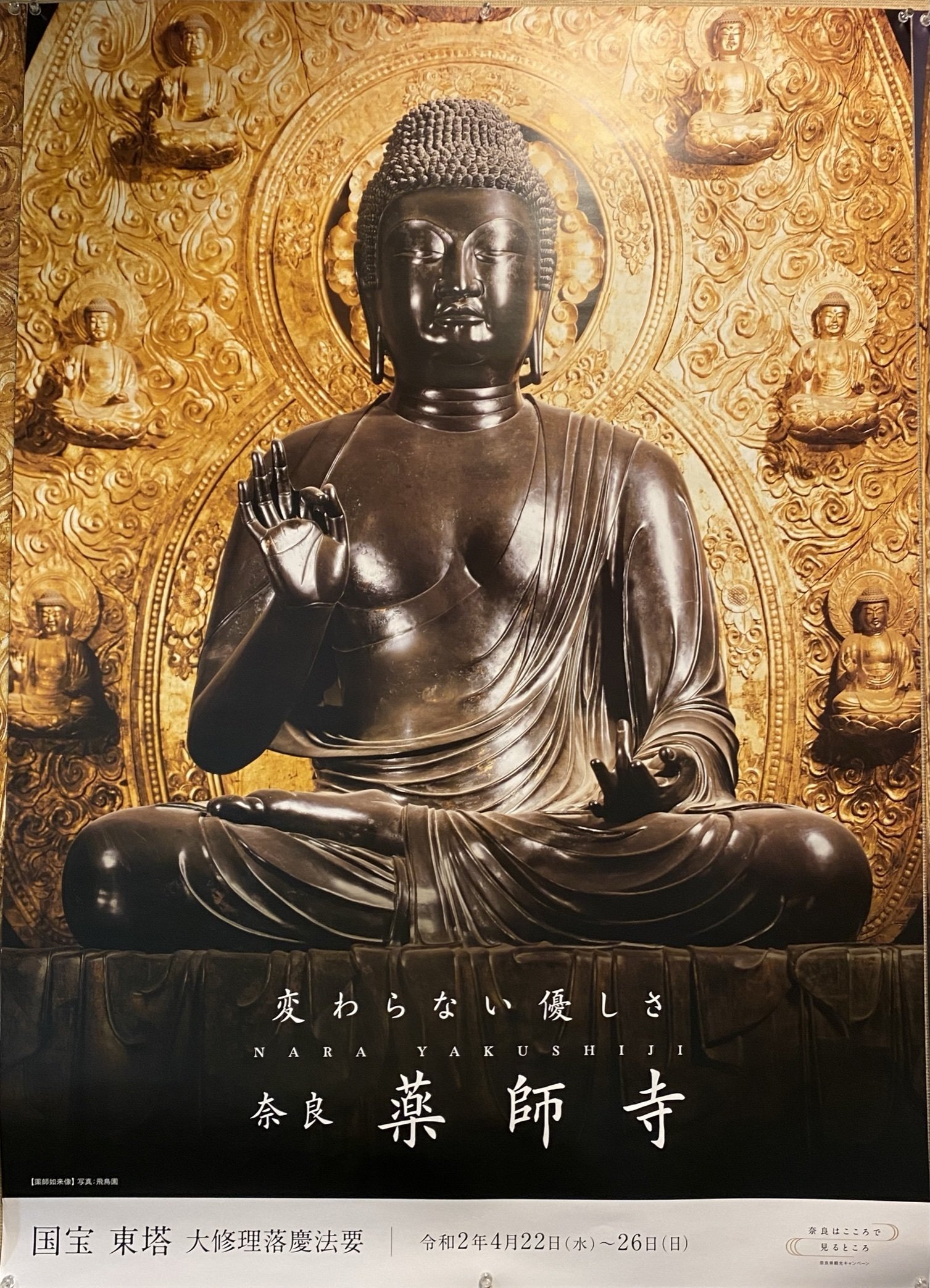 薬師寺②｜薬師三尊の光と休ヶ岡八幡宮──金堂から鎮守社へ、神仏習合