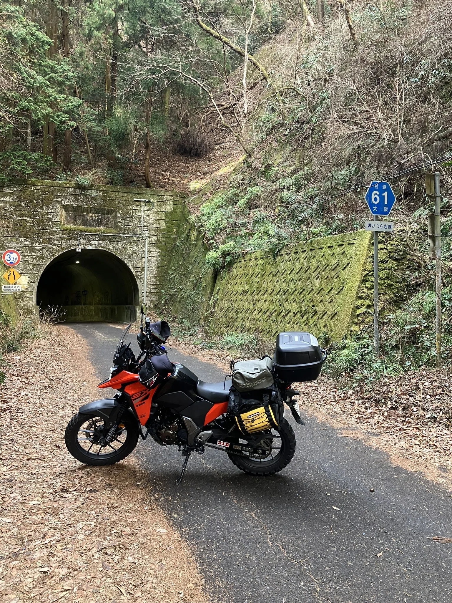 Vストローム250SXで行く、春の紀伊半島横断アドベンチャー。苔の廃村と