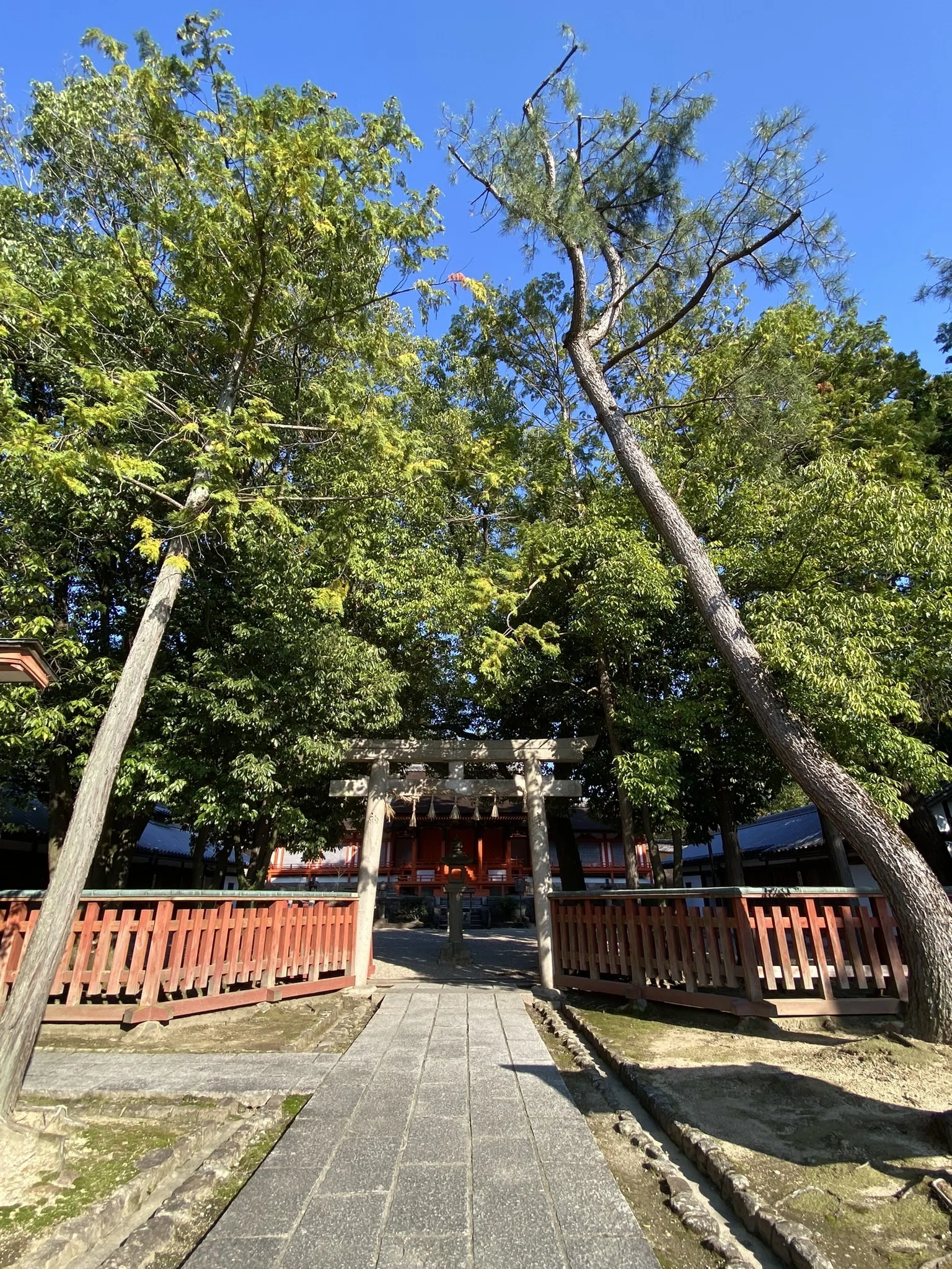 薬師寺②｜薬師三尊の光と休ヶ岡八幡宮──金堂から鎮守社へ、神仏習合