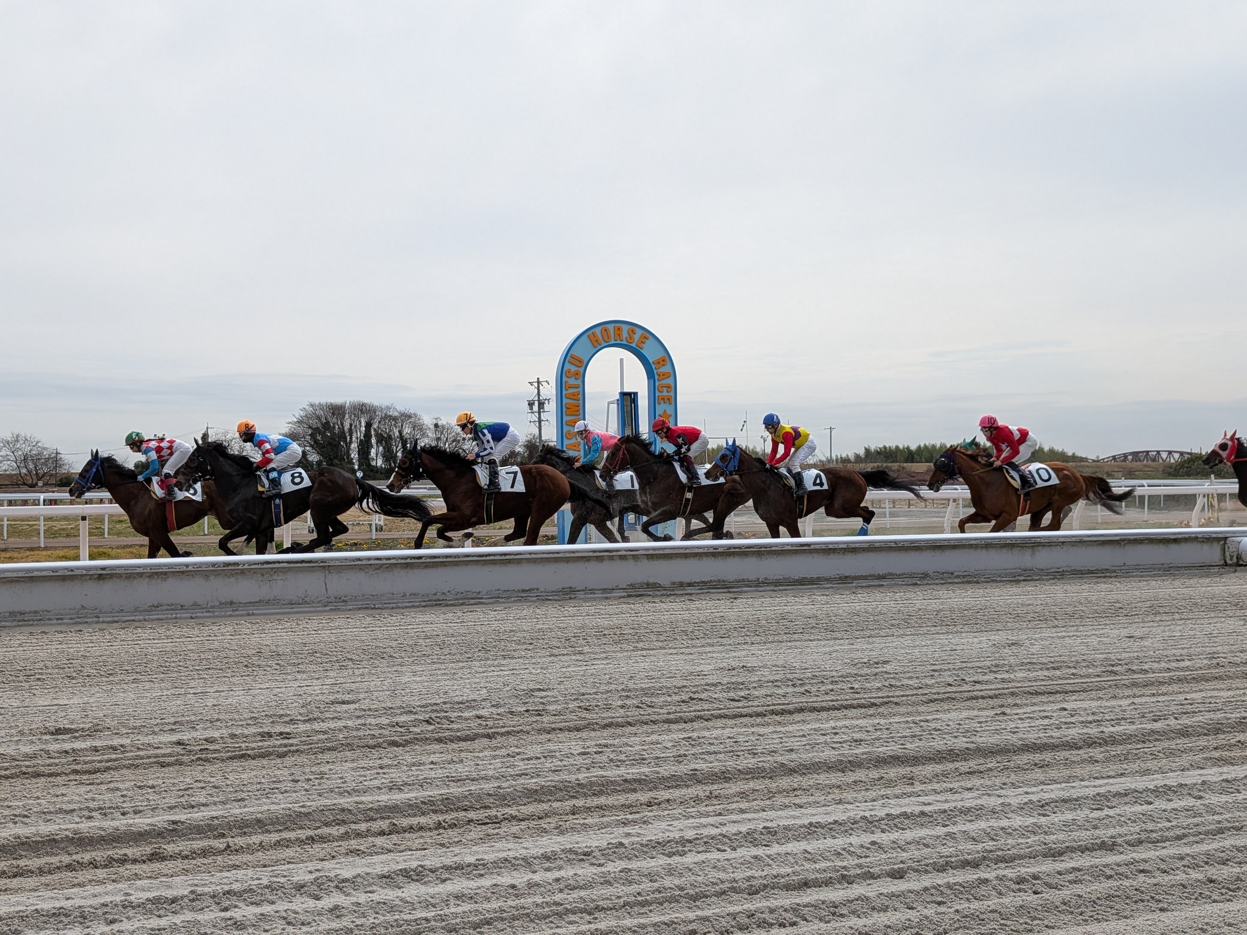 笠松けいば 豆馬券勝負！｜ゆきさ