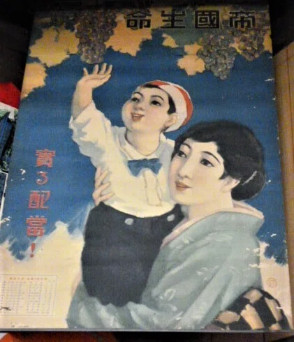 保険会社の広告（1）｜風媒社