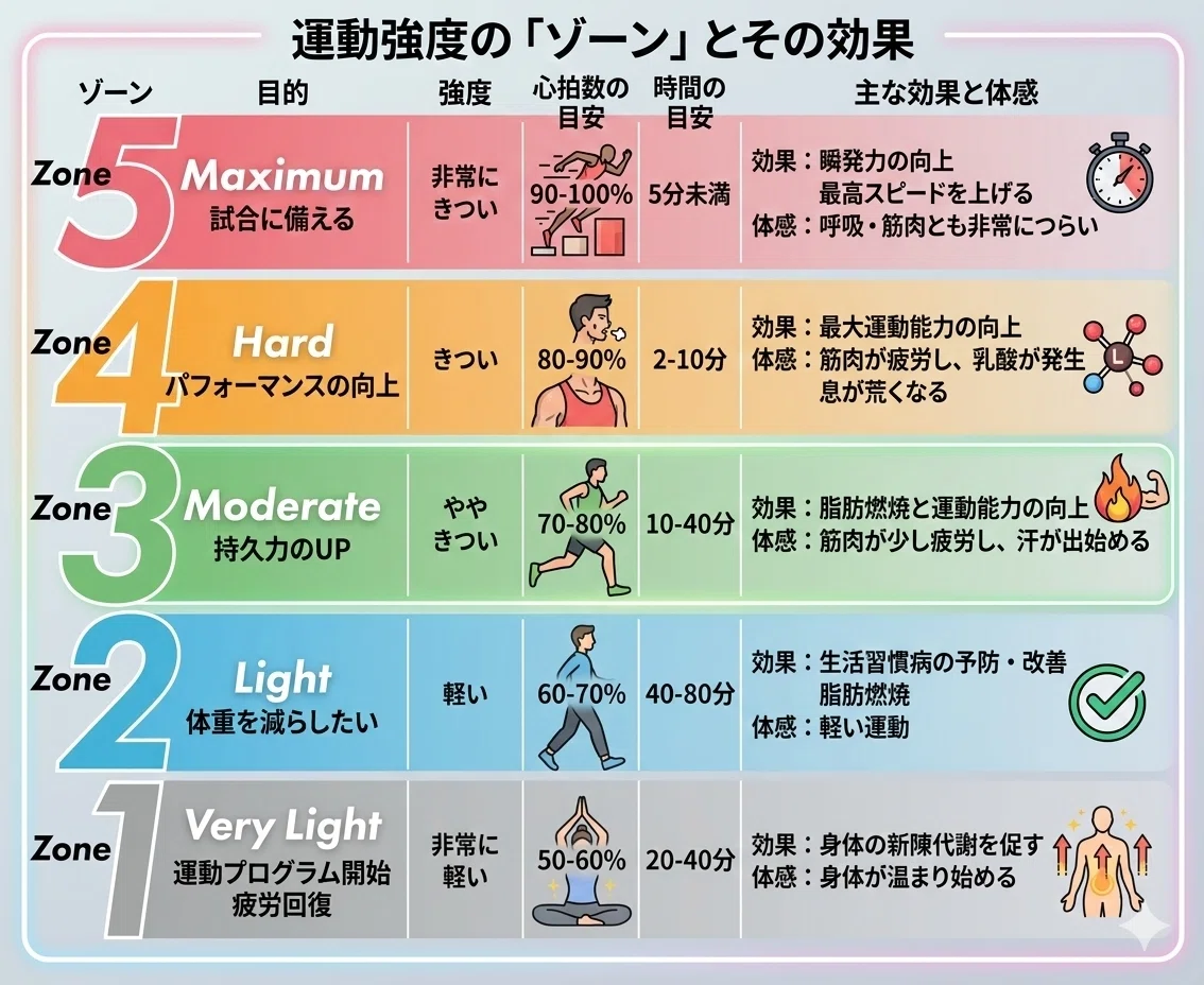 活動歴および当時の関連ビジュアル記録