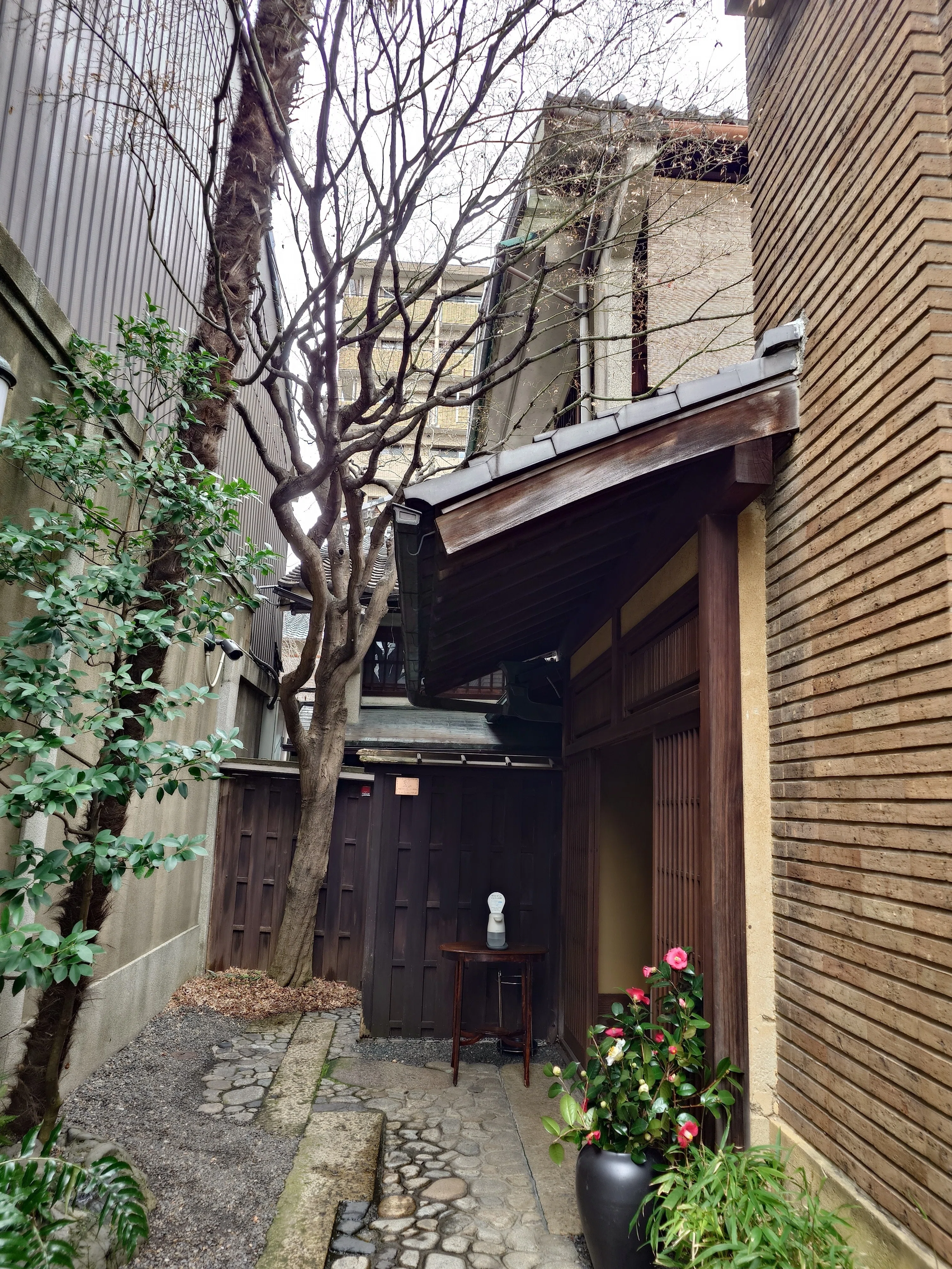 京都 八竹庵（はちくあん）訪問記｜comomo