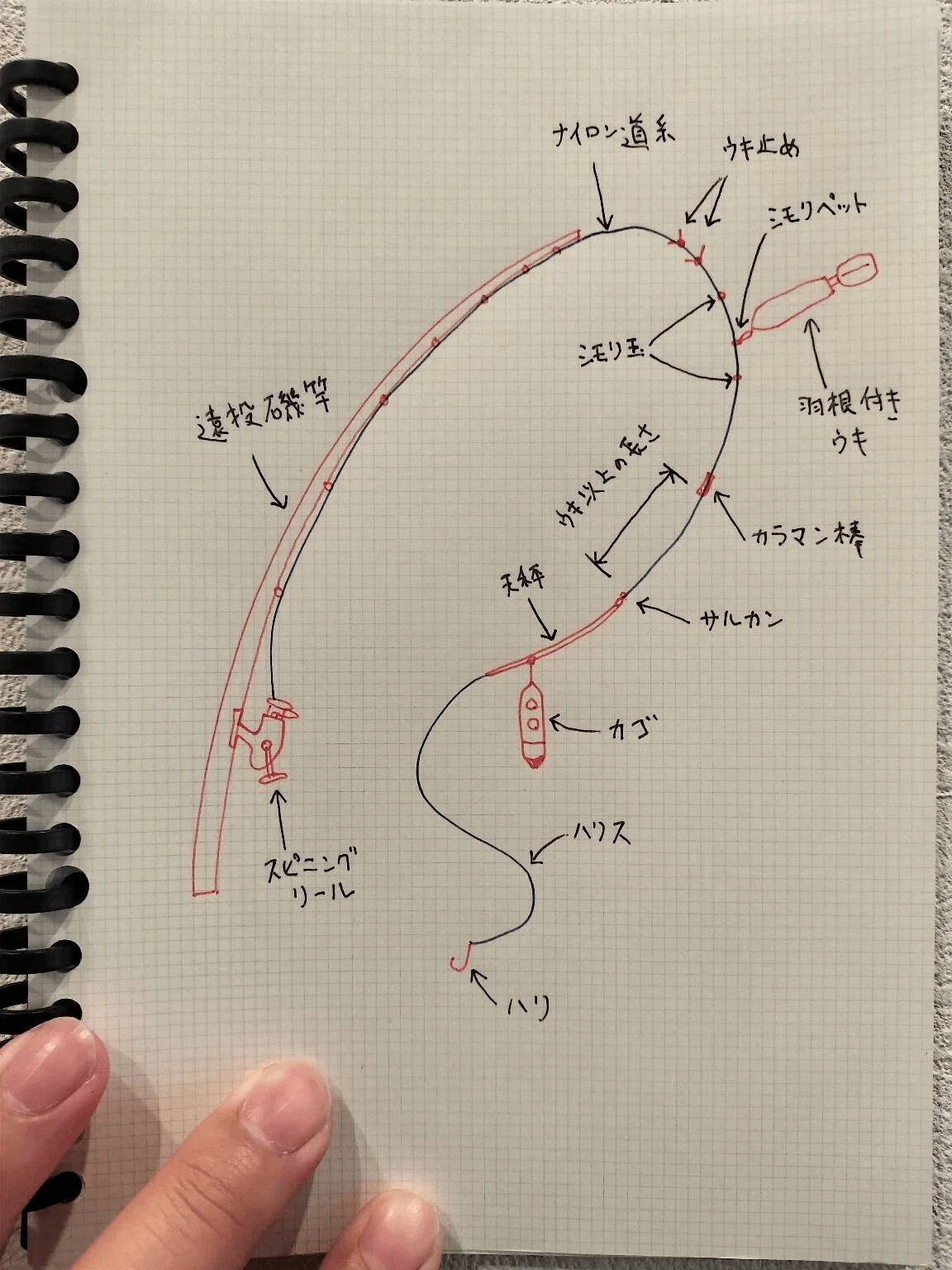 基本的な遠投カゴ釣り仕掛け図