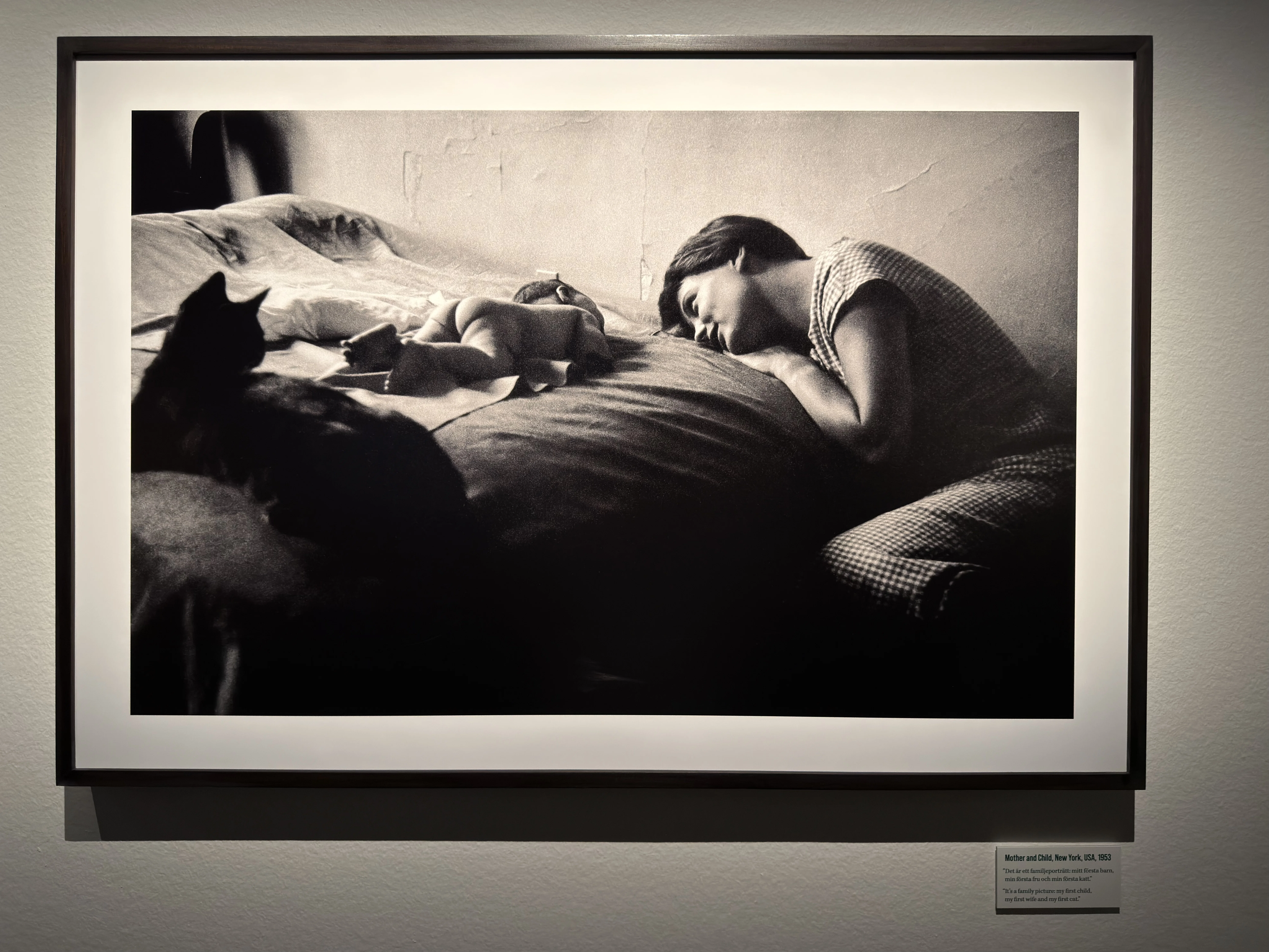 The Heartwarming Feeling of Humorous Photos - Elliott Erwitt