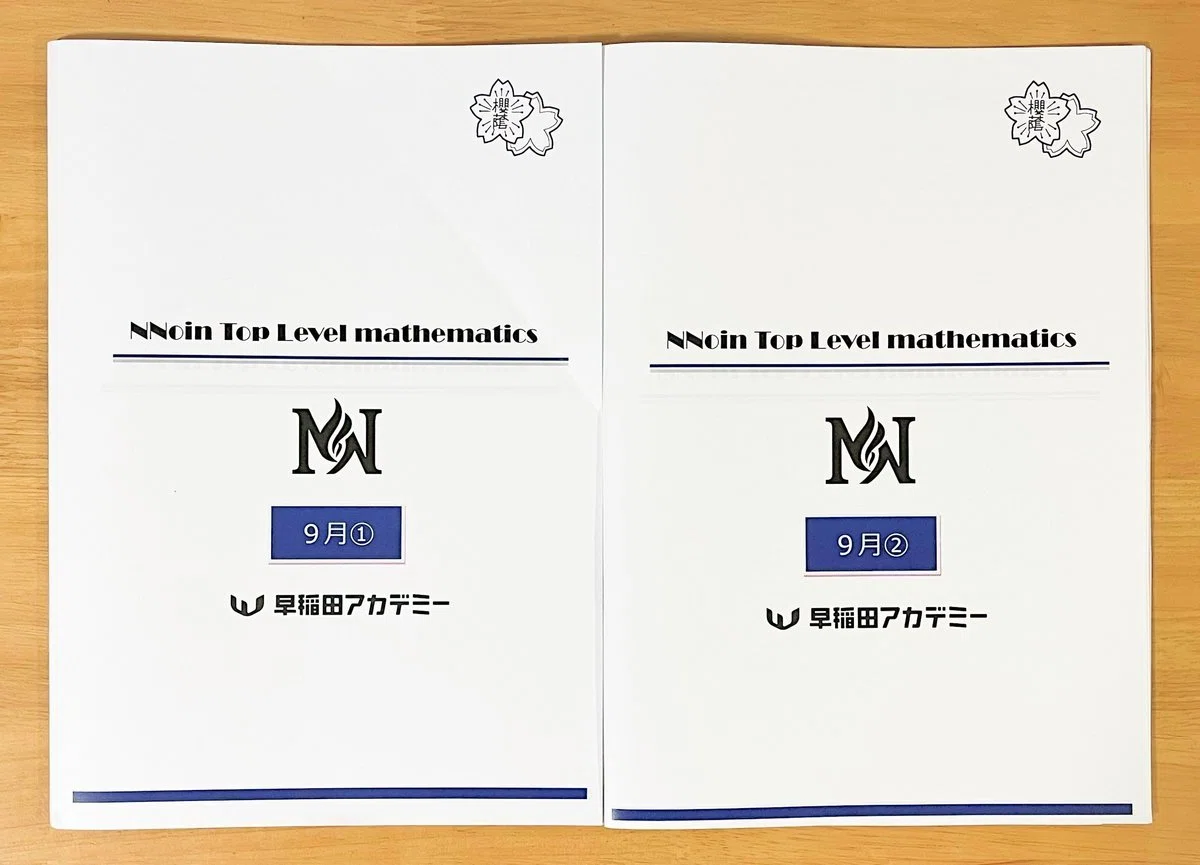 SAPIXオンリーのわが家がNNを取るか迷った理由と判断基準【サピックス