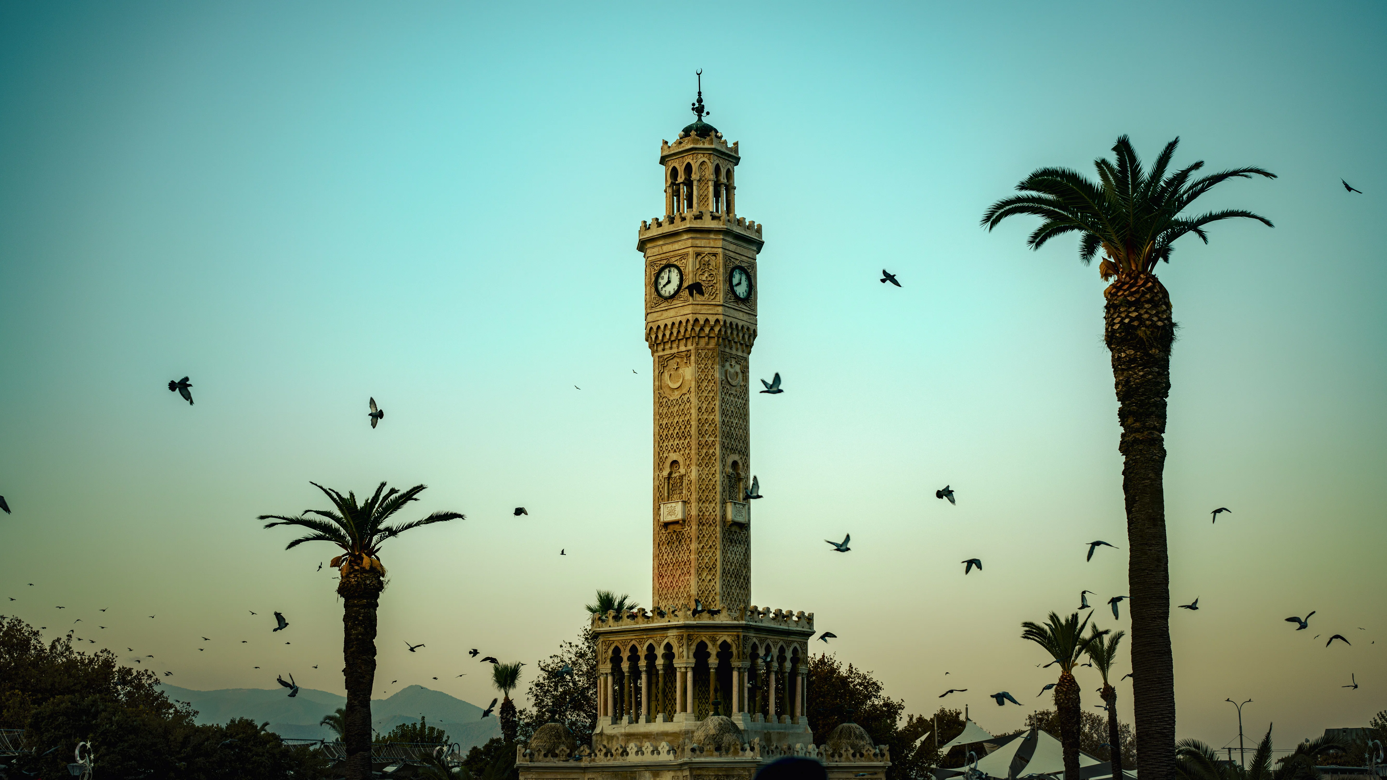 旅の記録：トルコ⑤ふたたびイスタンブールへ＆トルコ猫たち｜Tsut