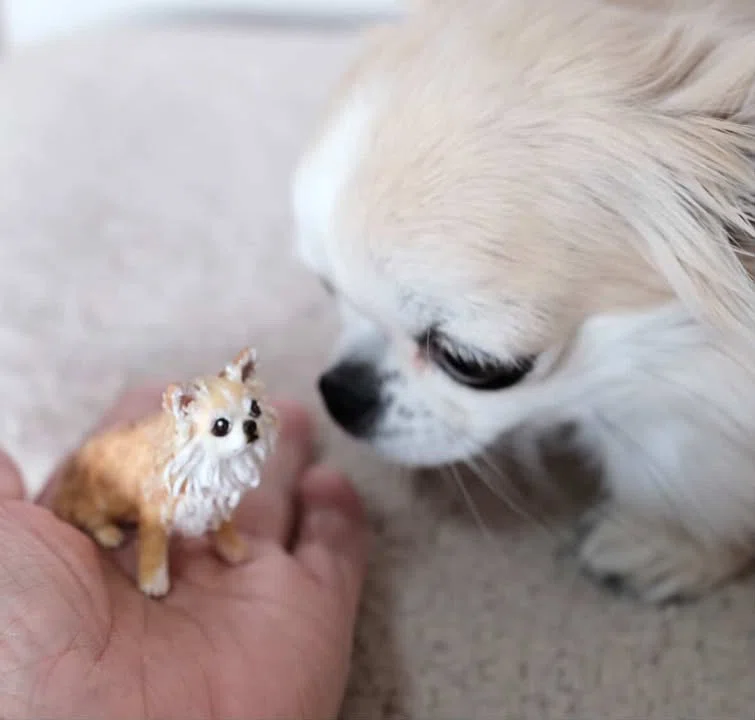 リアル犬 「うちのワンちゃん手のひらサイズ」｜ぴのきお工房
