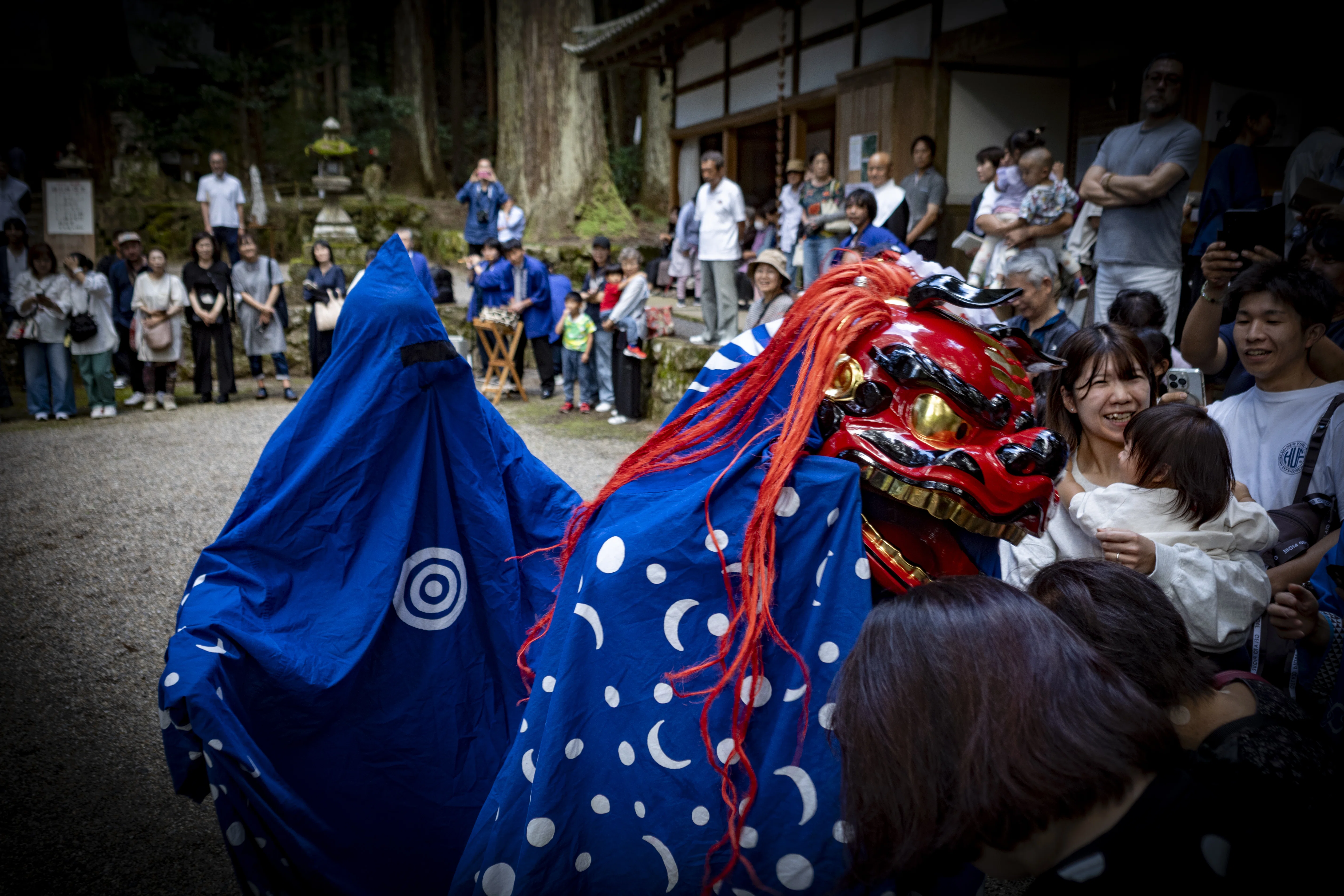 ハイカー　日本の祭り ハイカー 日本の祭り 【公式通販】