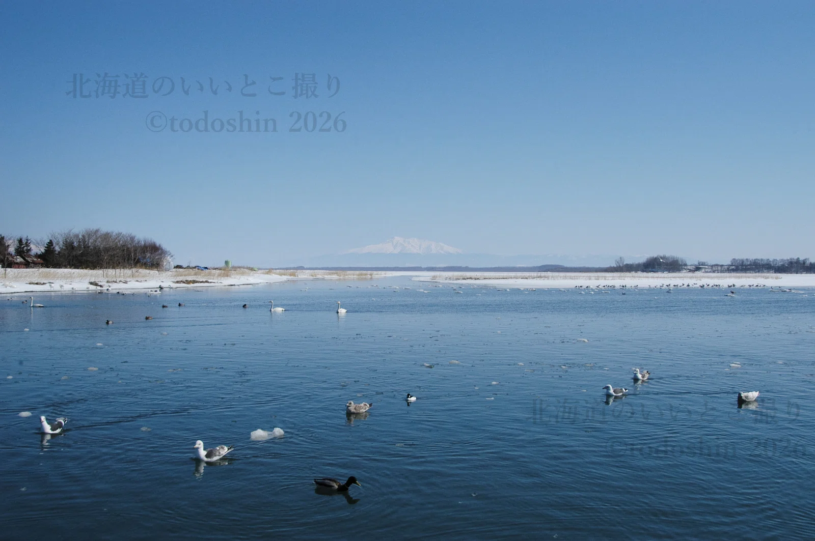 濤沸湖畔の白鳥公園＠網走市 2004年3月｜todoshin