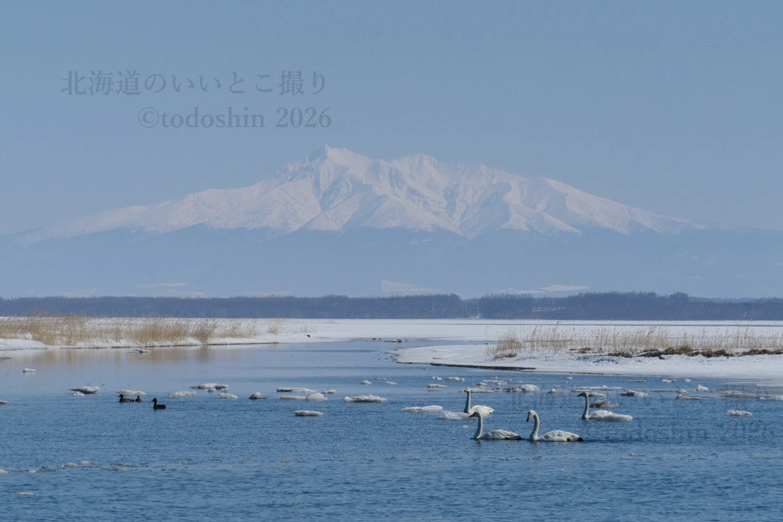 濤沸湖畔の白鳥公園＠網走市 2004年3月｜todoshin