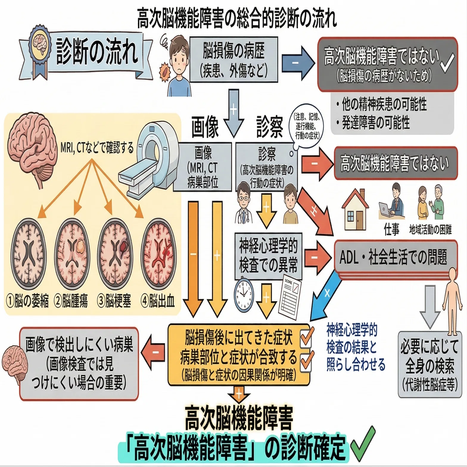 高次脳機能障害：講義資料②】診断と脳のピラミッド構造｜大山あきら