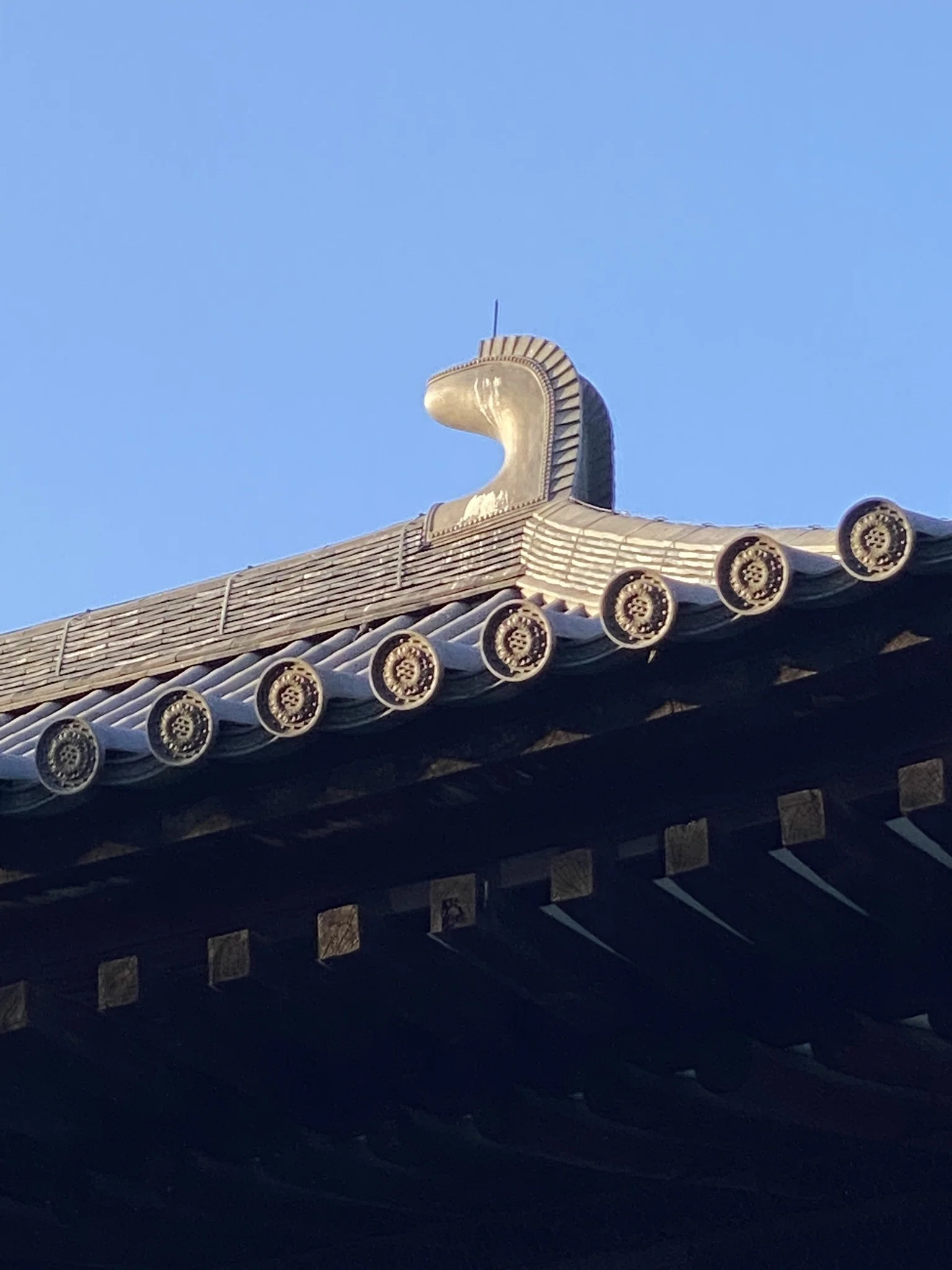 唐招提寺｜鑑真和上と盧舎那仏、そして「戒律」という礎── 6度の渡航
