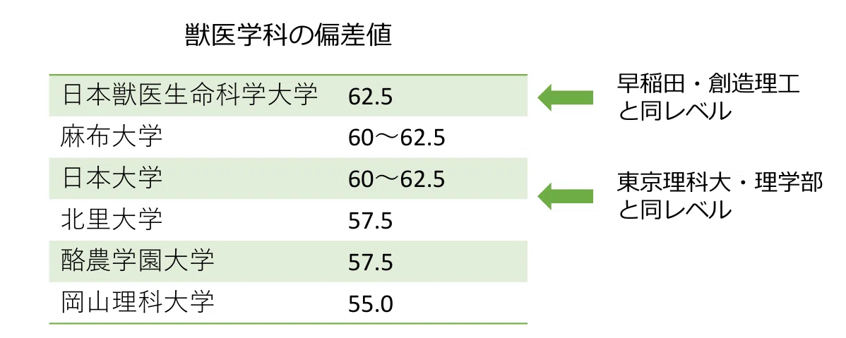 麻布大学 日本獣医生命大学 岡山理科大学 日本大学 酪農学園大学 北里大学 獣医 獣医師を目指す現役生の予備校選び。17校という特殊市場が生む、塾選び