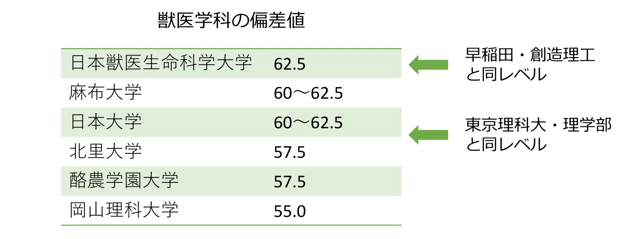 全国6校しかない私立獣医学部。浪人するなら知っておきたい予備校選び 