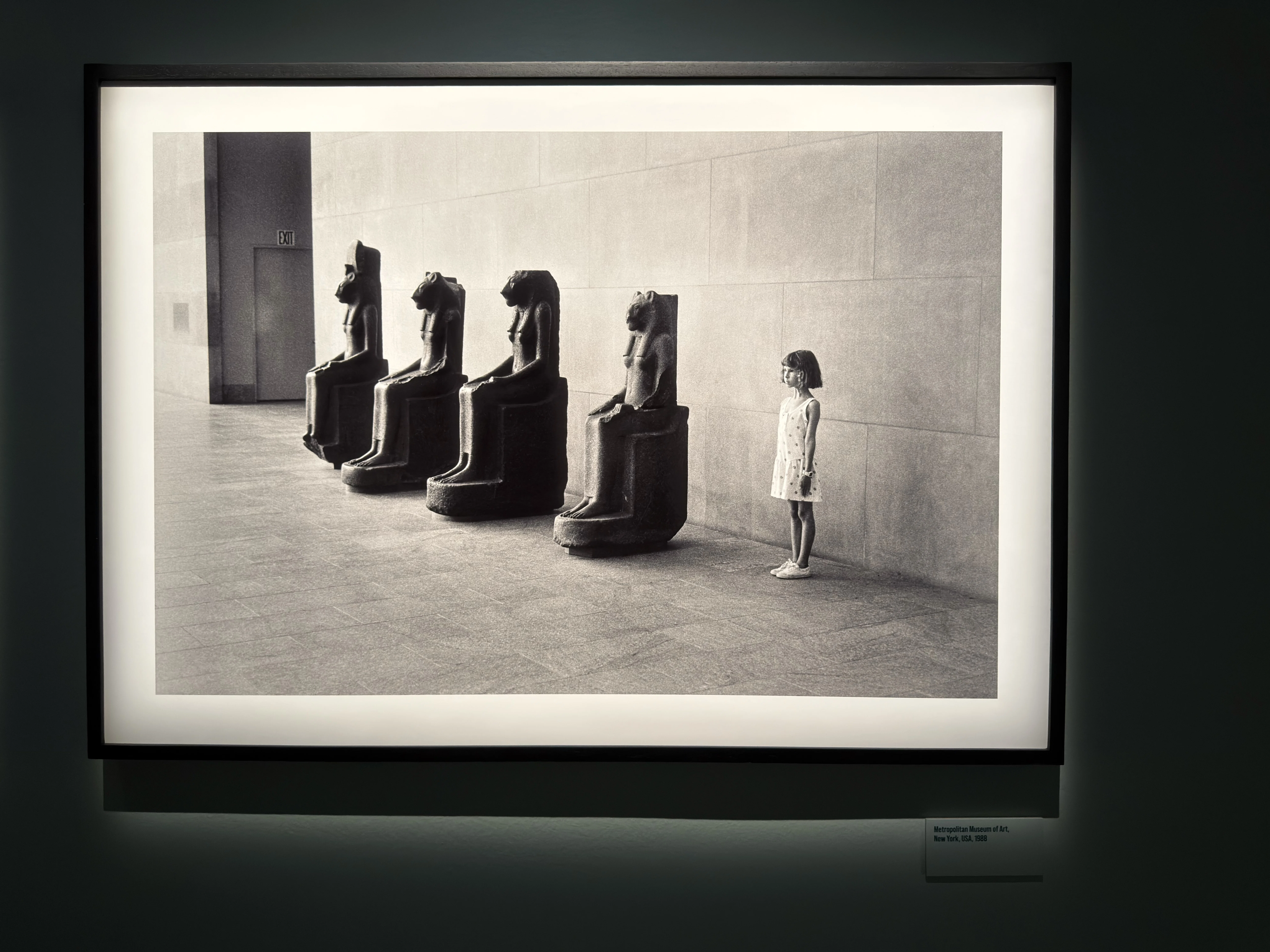 The Heartwarming Feeling of Humorous Photos - Elliott Erwitt