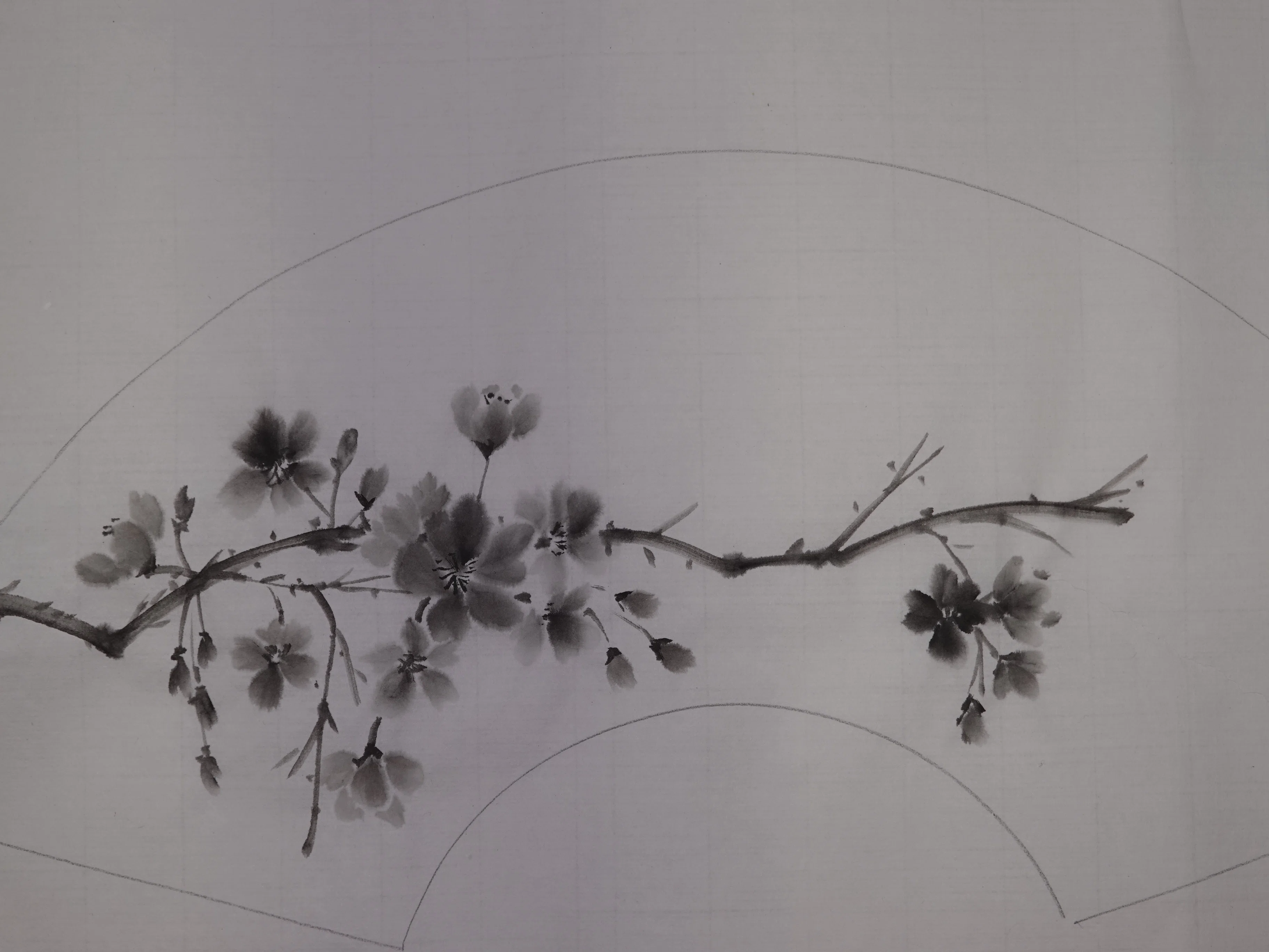 水墨画・桜を扇形の作品に｜t-miura