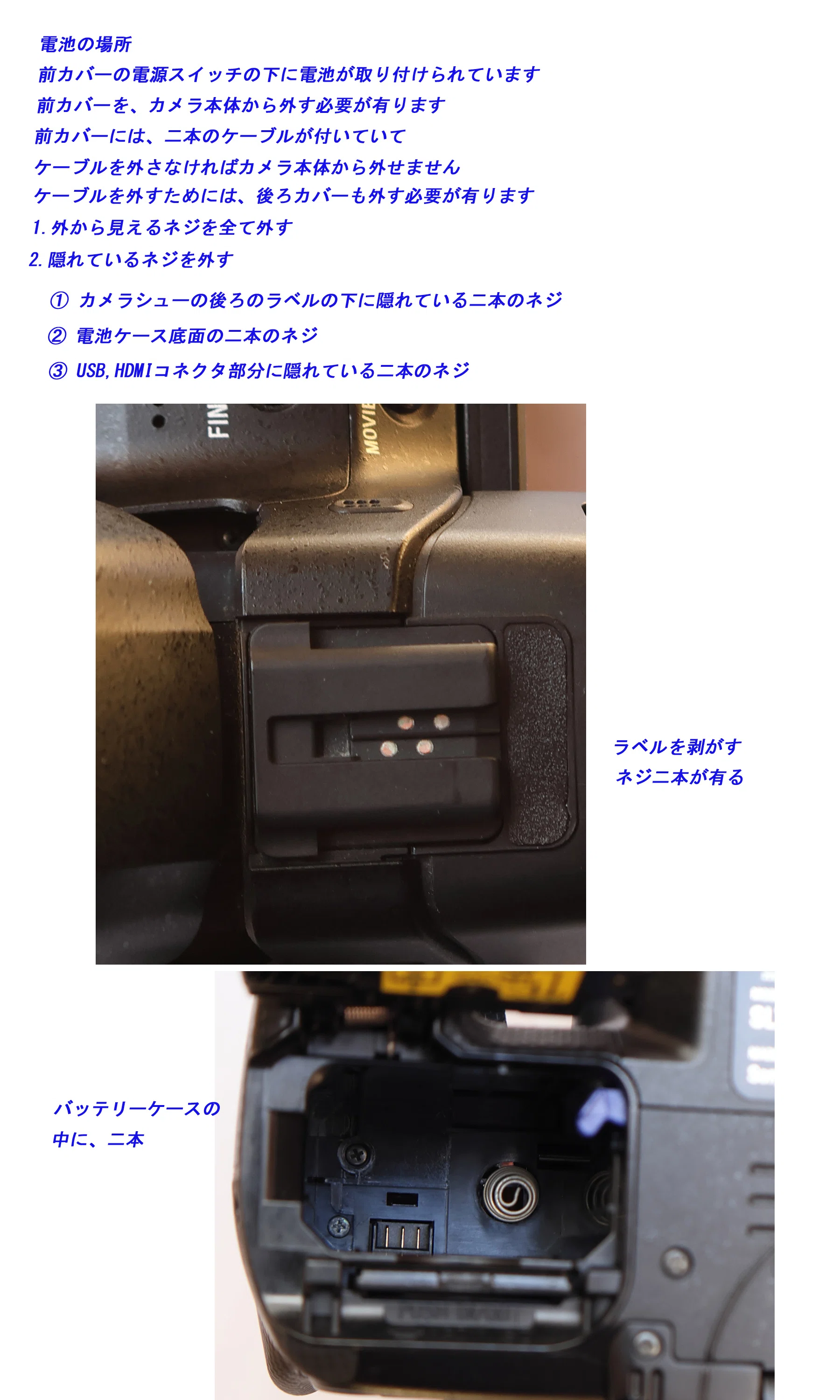 SONY α55 SLT-A55V｜sakisakura_X