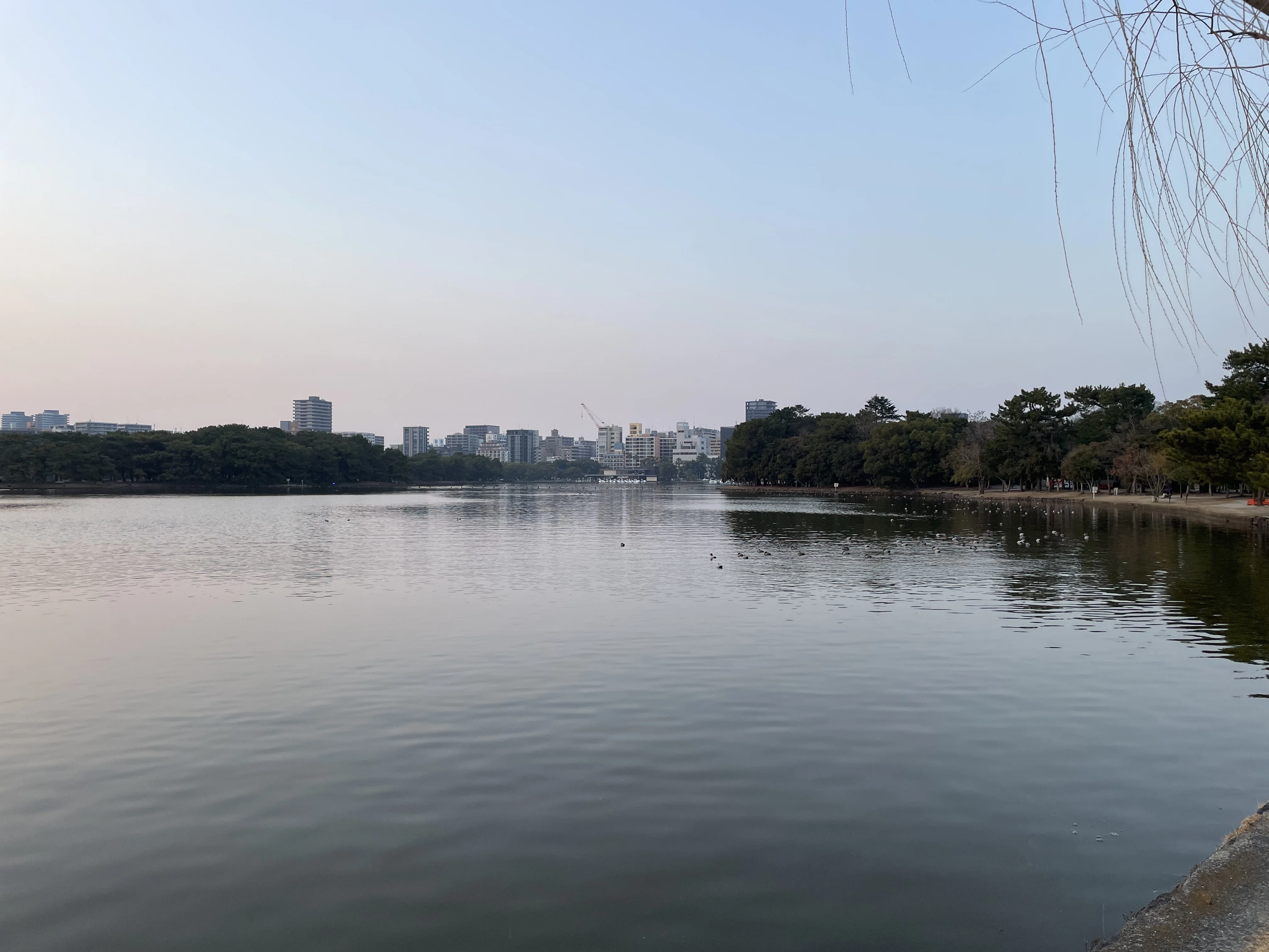 大濠公園という素晴らしい公園｜しんじ