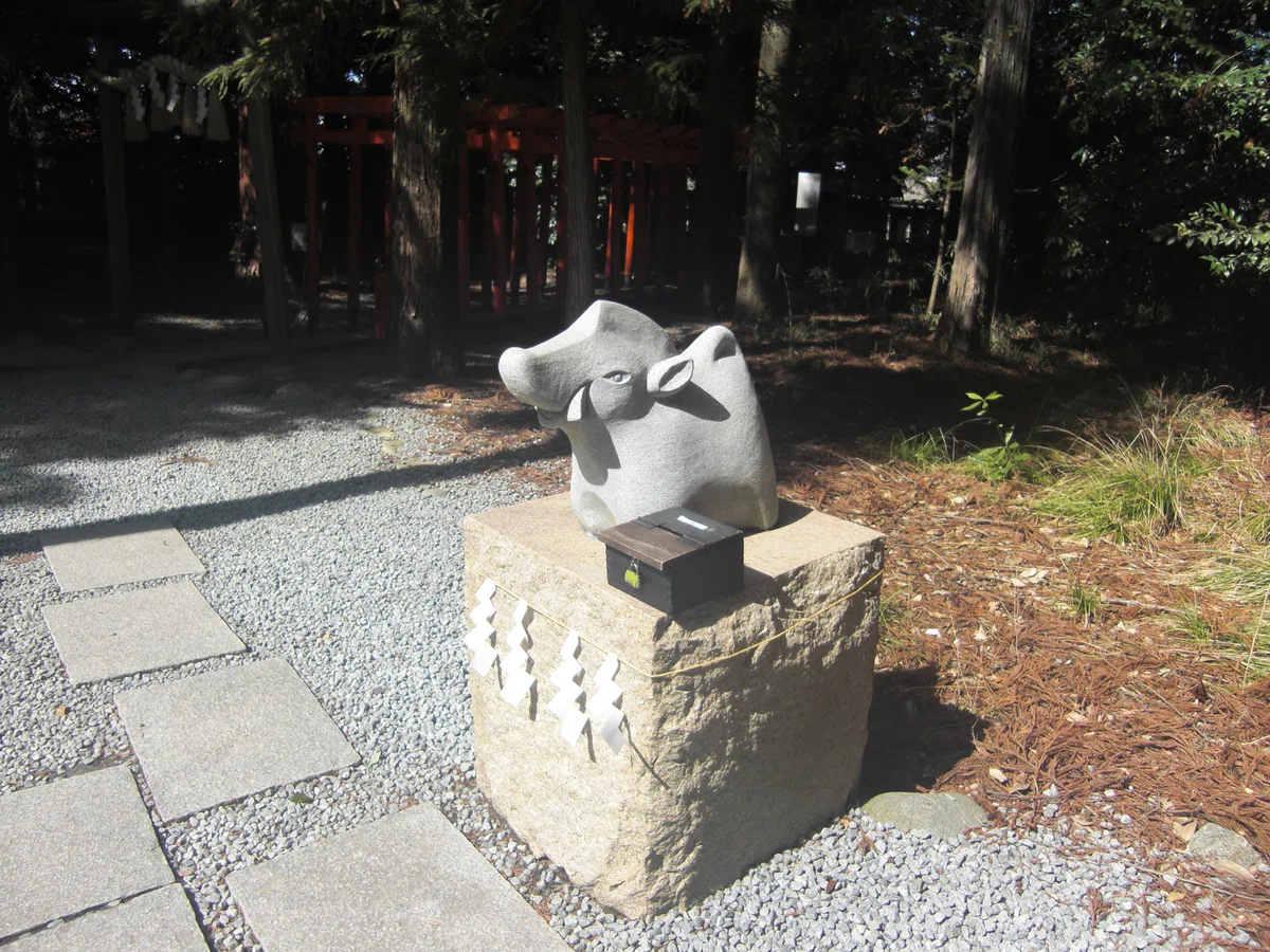 画像