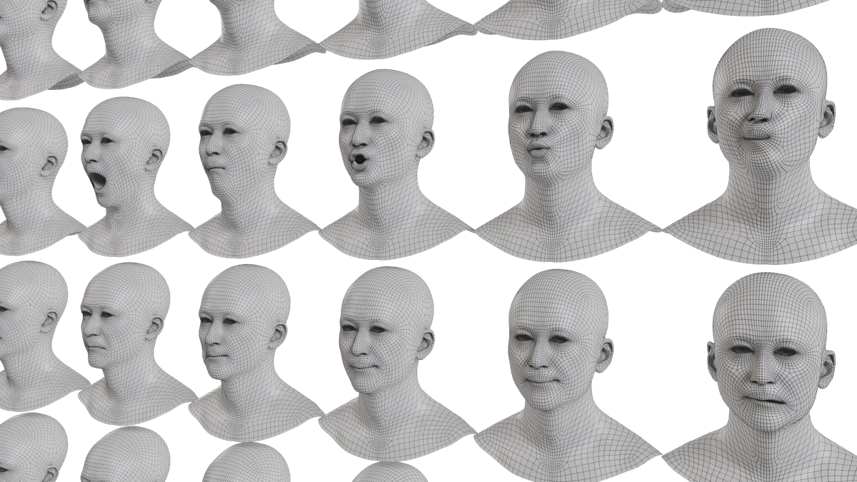 Scan Base Mesh 3d Retopology & Wrap: Converting 3D Scan Data into Blendshape-Ready Meshes ...