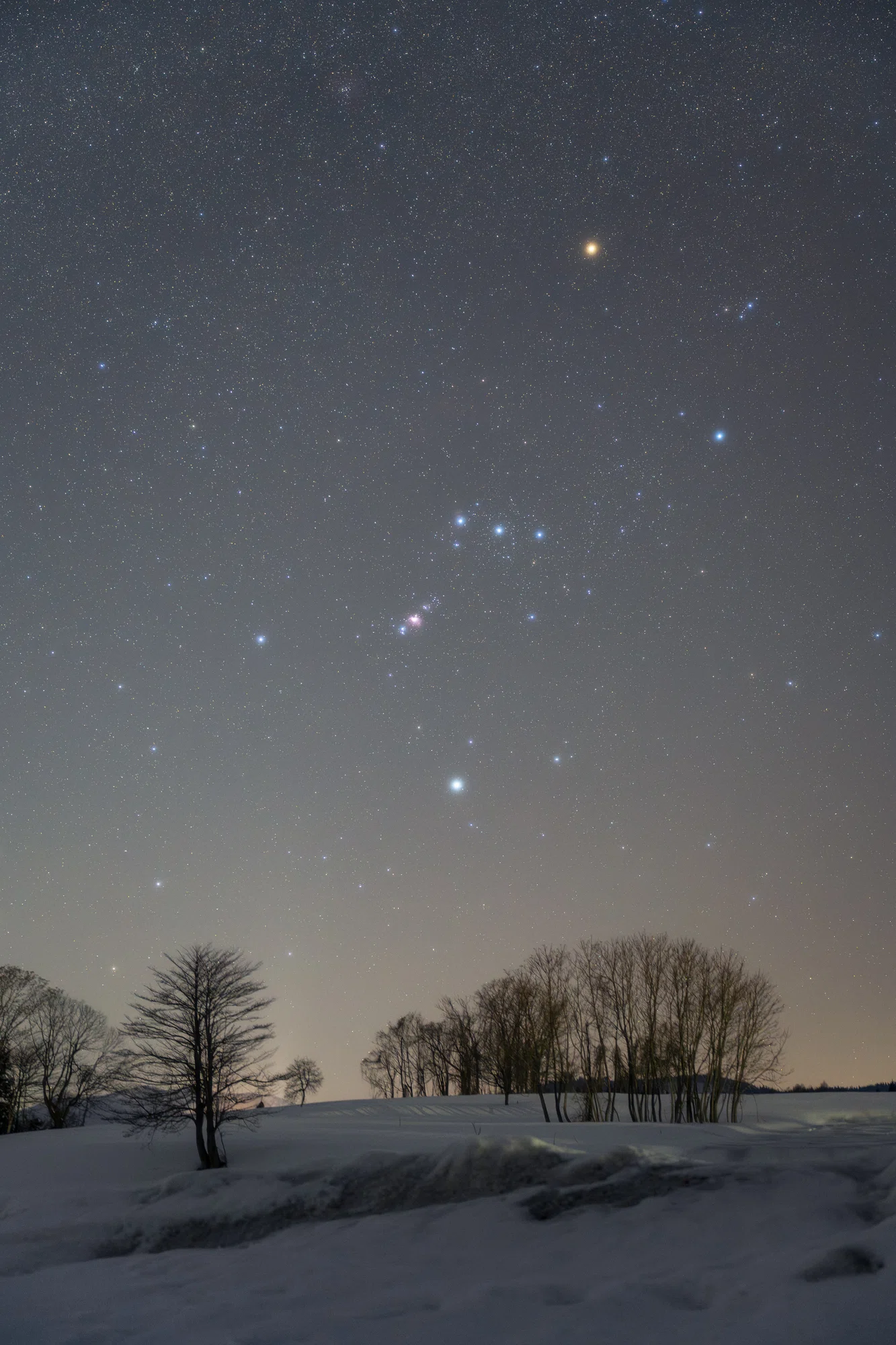 雪国の沈む冬の星座、昇る夜明けの天の川｜星空写真家 × 会社役員