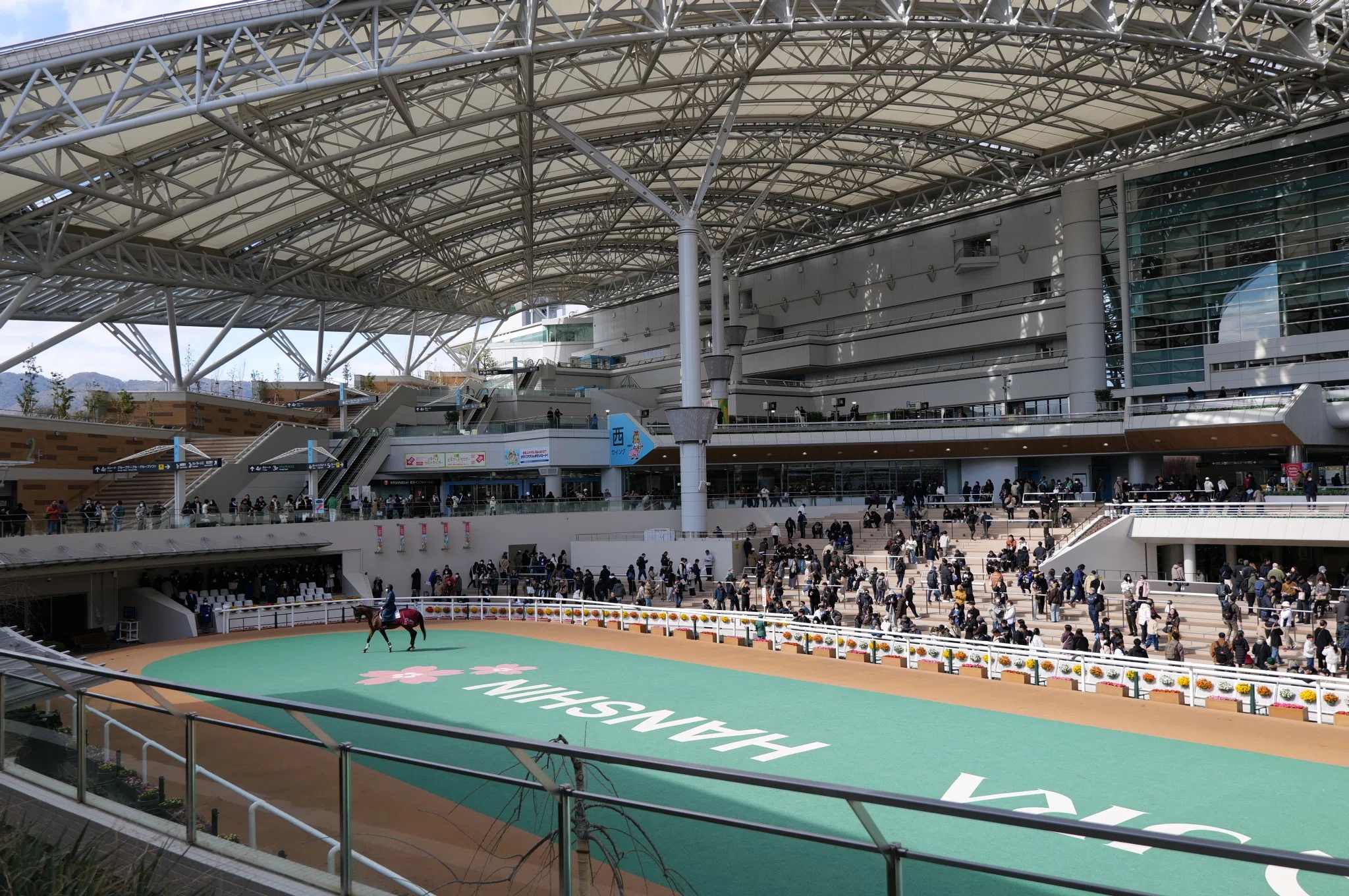 写真日記】30年ぶりの阪神競馬場｜tmk 39r