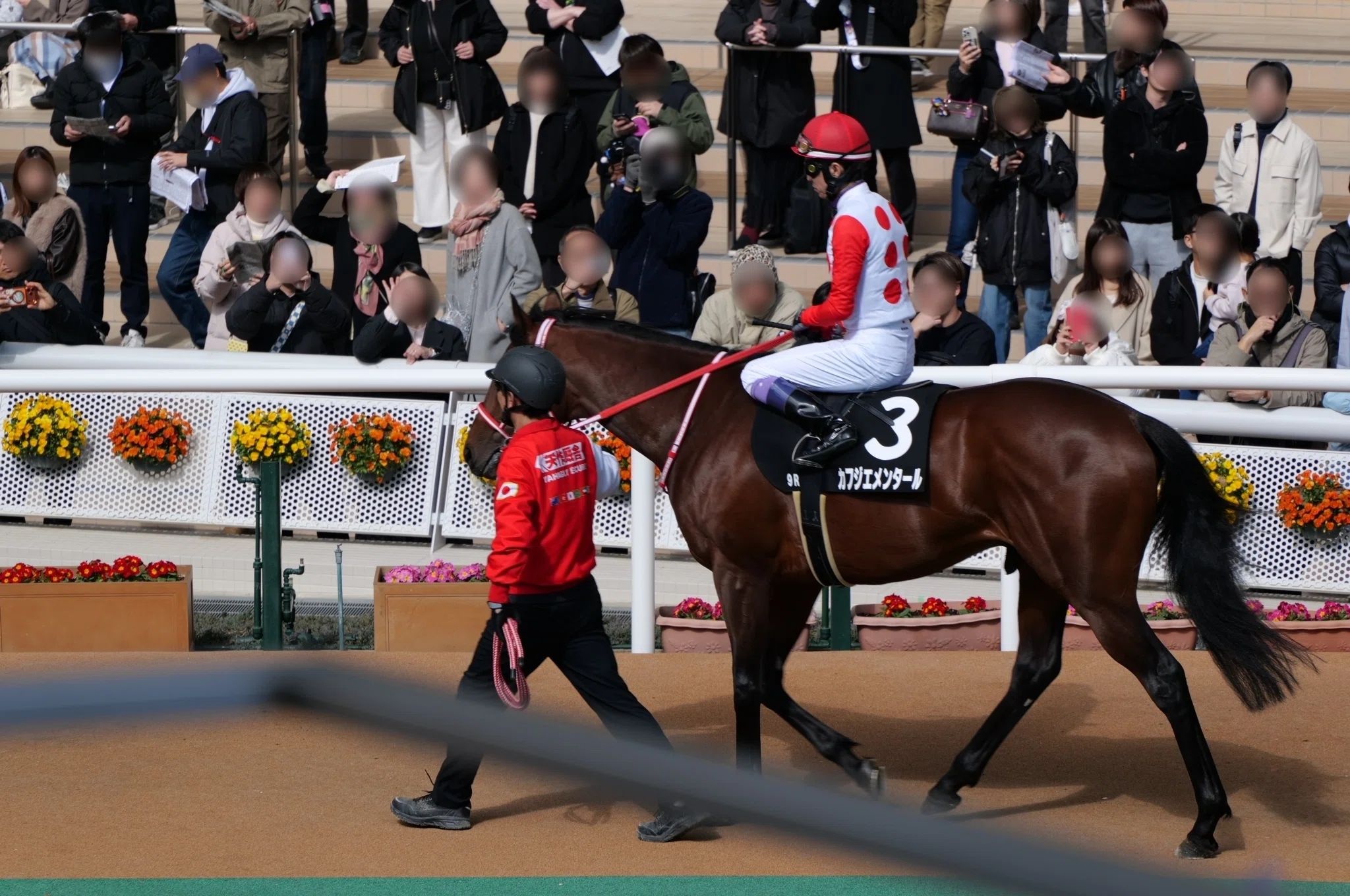 写真日記】30年ぶりの阪神競馬場｜tmk 39r