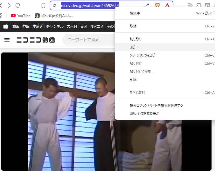 nicozon ダウンロード方法 ニコニコ動画｜teppei