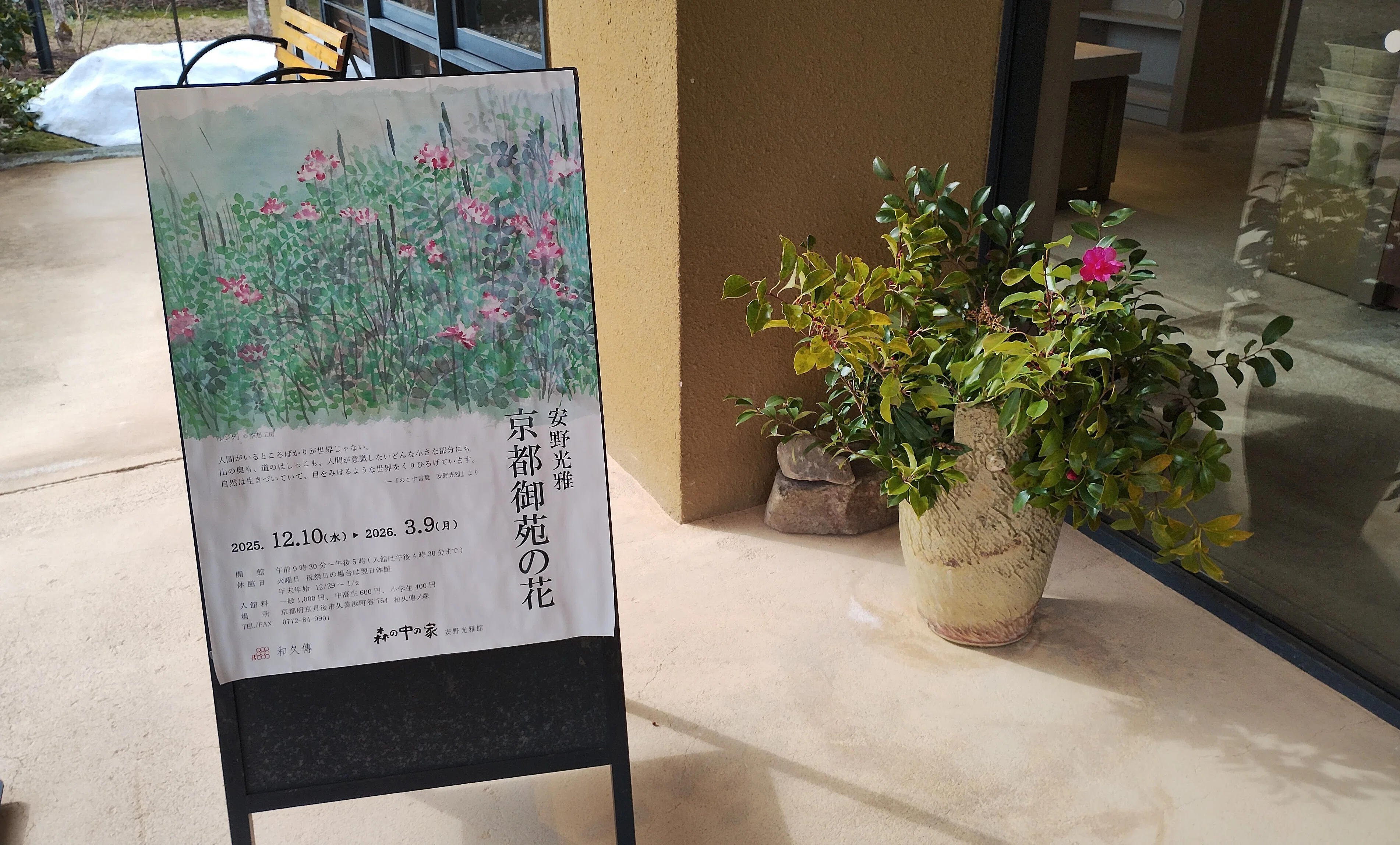 森の中の家 安野光雅館へ｜mayu*days
