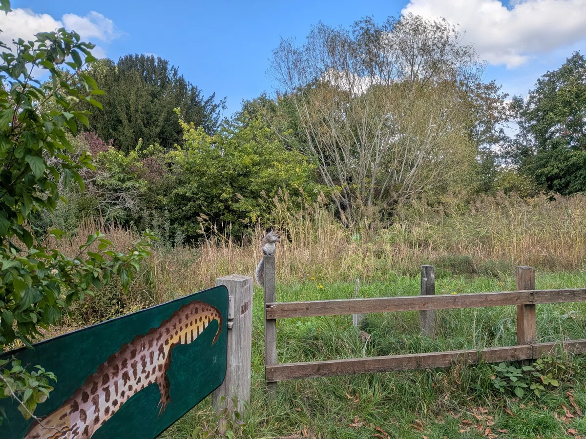 [London Life] Impressions after six months of switching from iPhone to ...